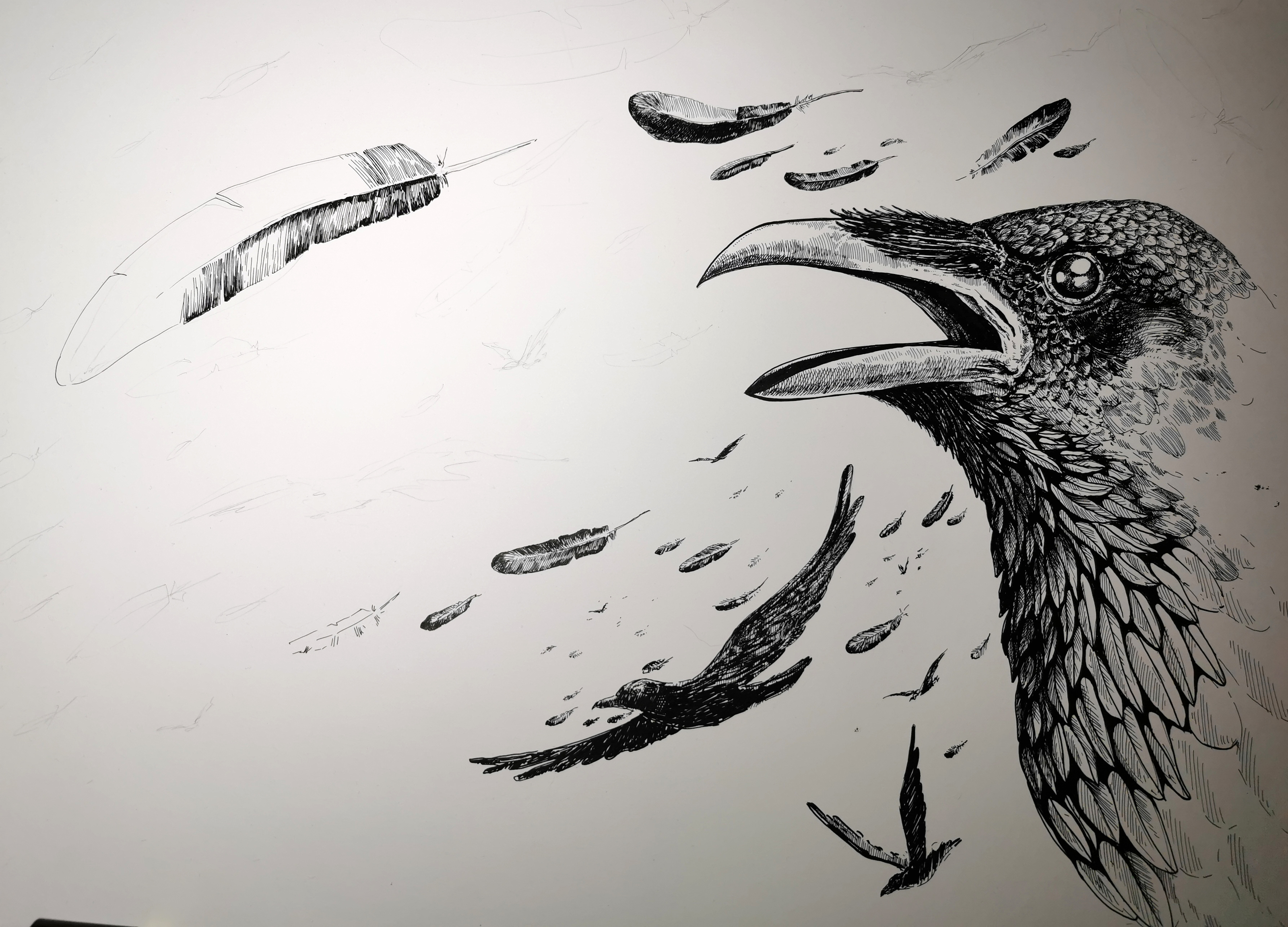 Ворон. Графический лист и коллекция на его основе — Изображение №7 — Иллюстрация, Графика на Dprofile