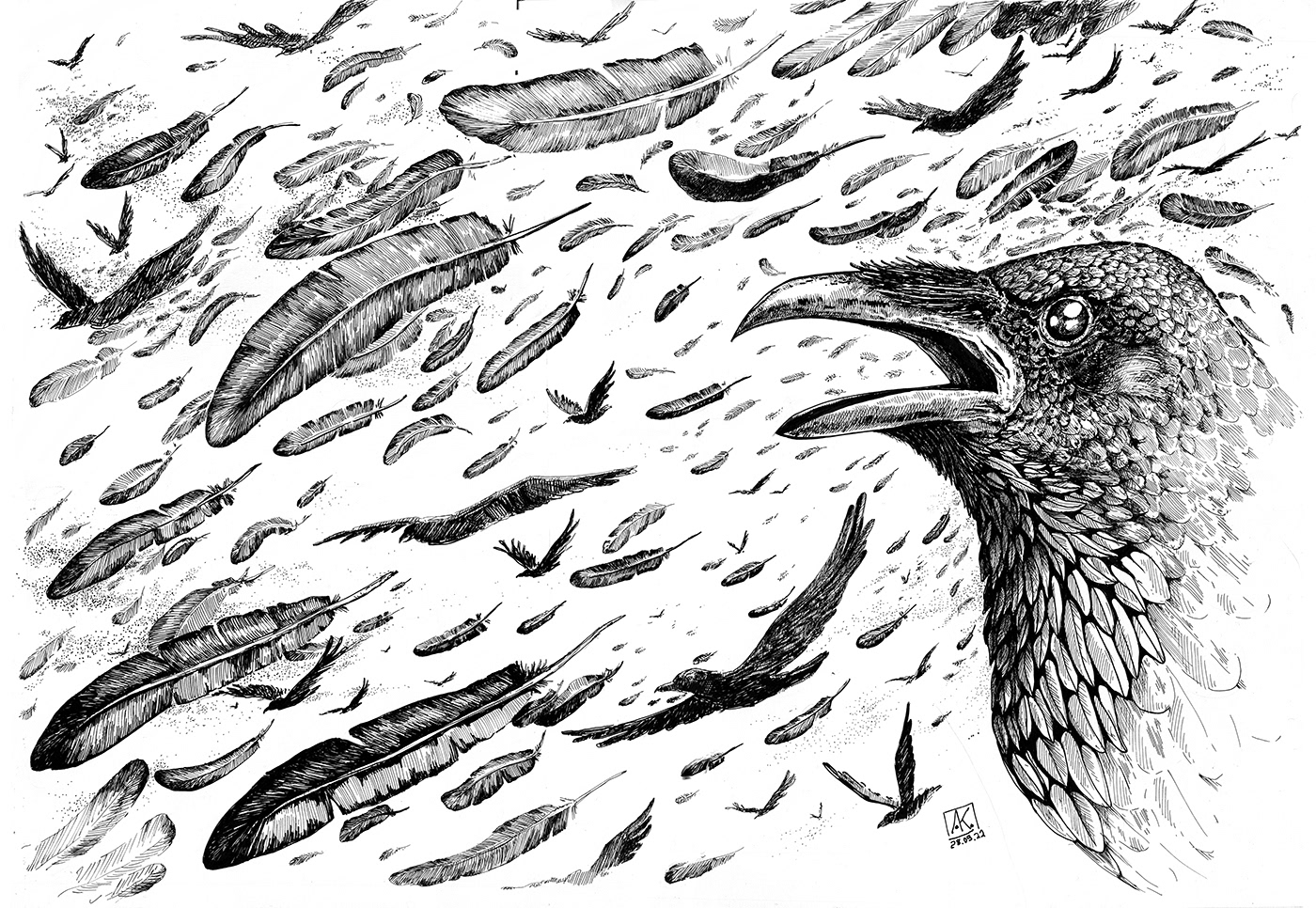 Ворон. Графический лист и коллекция на его основе — Изображение №3 — Иллюстрация, Графика на Dprofile