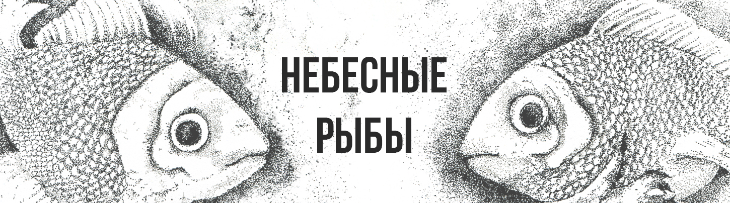 Небесные рыбы — Изображение №1 — Брендинг, Иллюстрация на Dprofile
