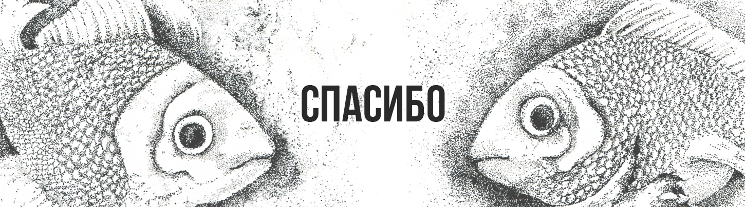 Небесные рыбы — Изображение №14 — Брендинг, Иллюстрация на Dprofile