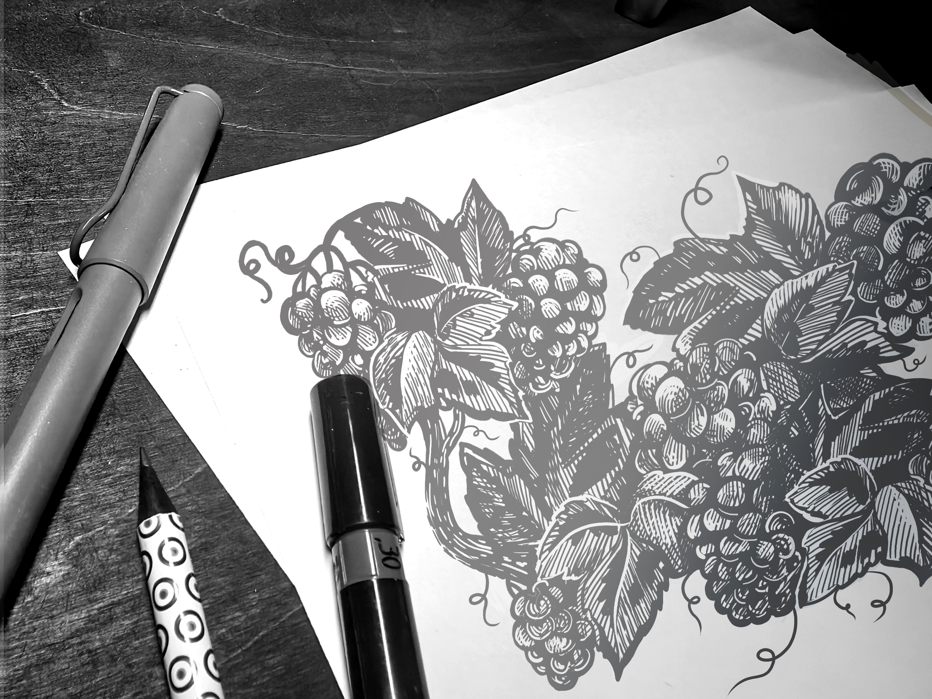 Иллюстрация для винодельни UPPA Winery — Изображение №7 — Иллюстрация, Графика на Dprofile