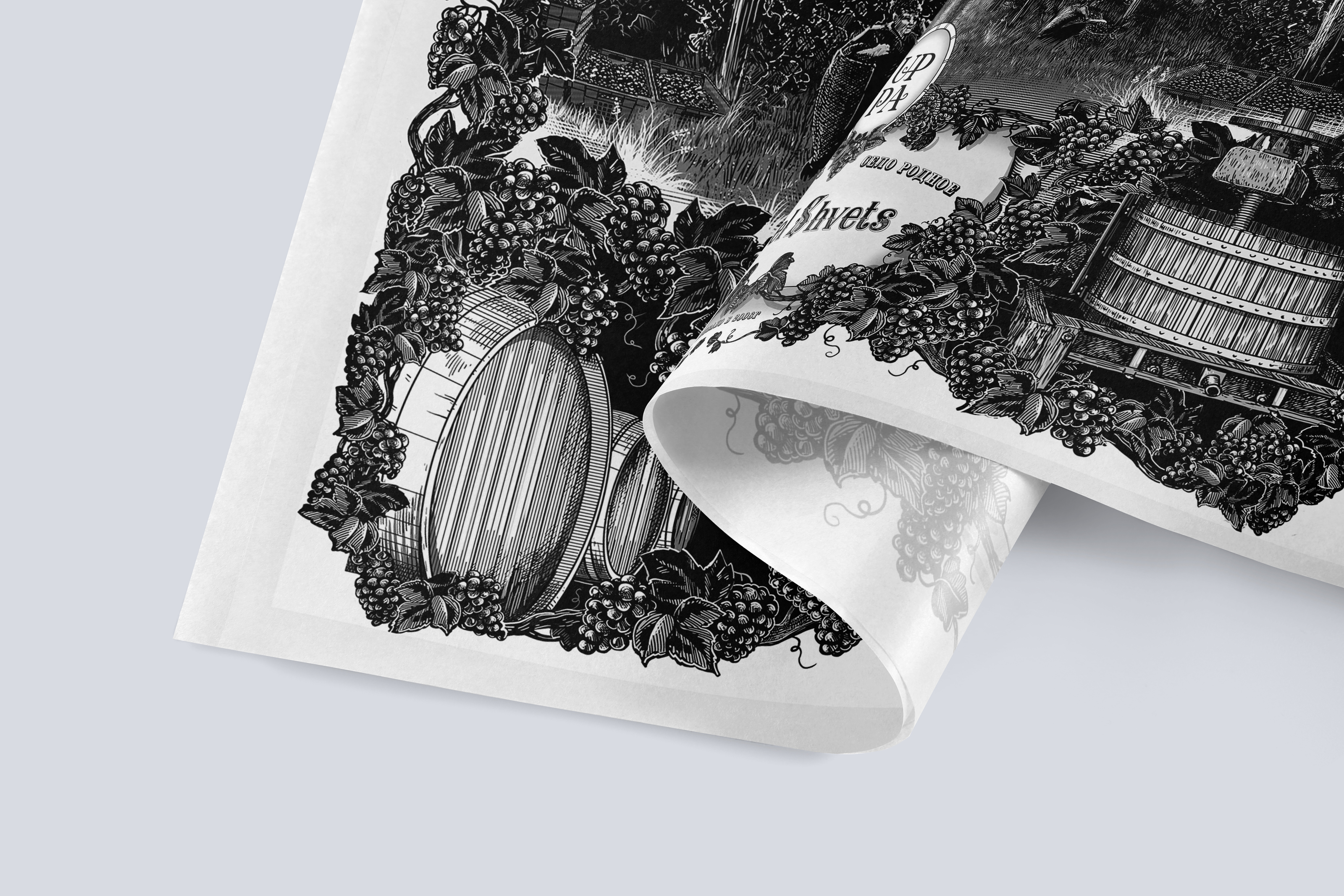 Иллюстрация для винодельни UPPA Winery — Изображение №1 — Иллюстрация, Графика на Dprofile