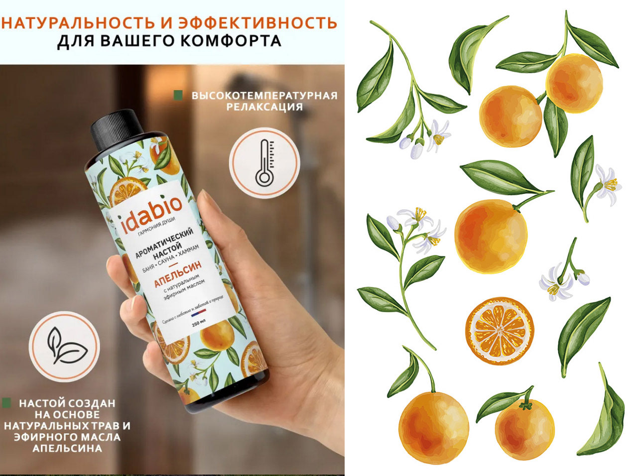 Иллюстрации растений для Idabio — Изображение №4 — Иллюстрация, Графика на Dprofile