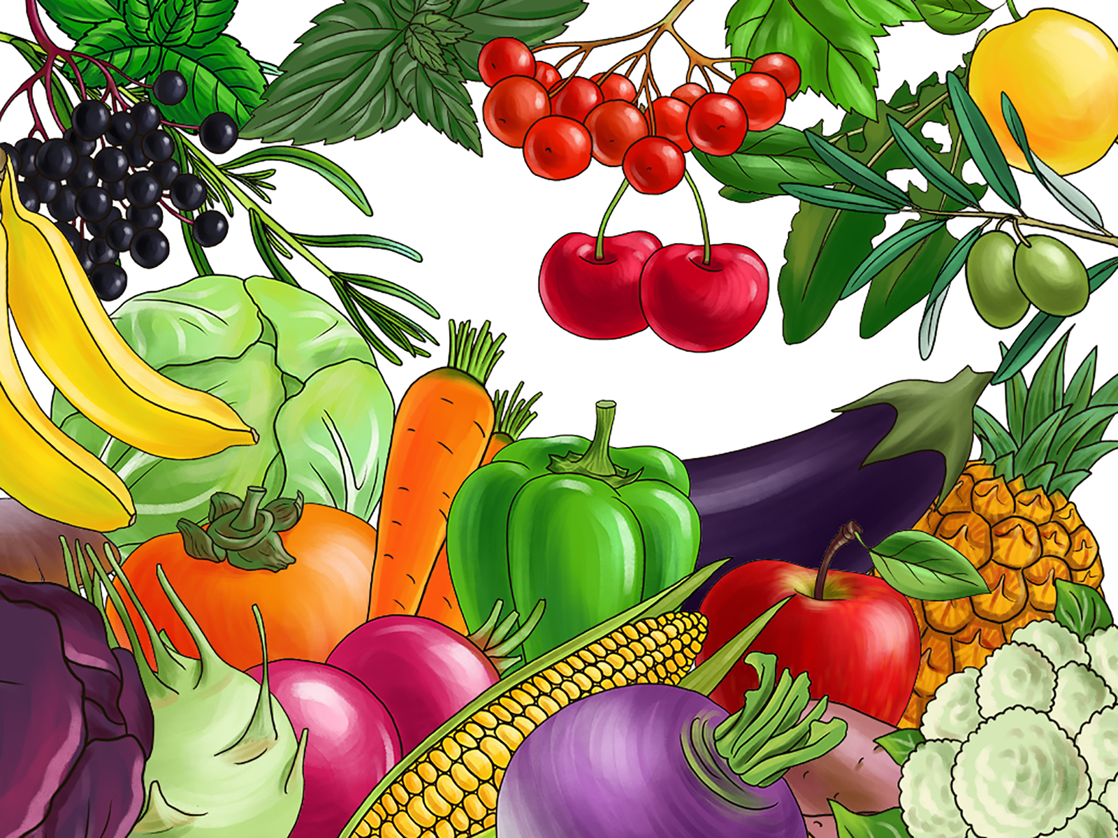 Фрукты, овощи и ягоды — Изображение №1 — Иллюстрация на Dprofile