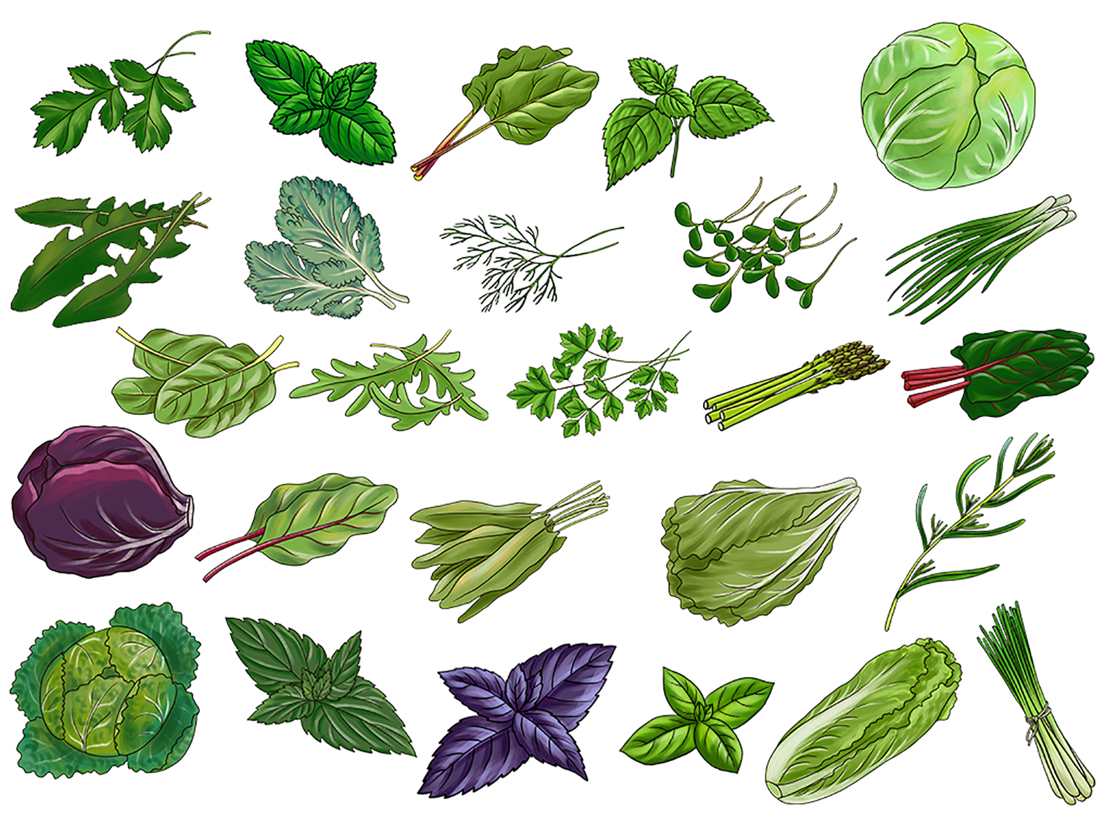 Фрукты, овощи и ягоды — Изображение №4 — Иллюстрация на Dprofile