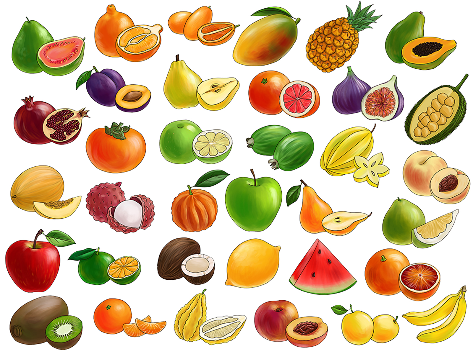 Фрукты, овощи и ягоды — Изображение №6 — Иллюстрация на Dprofile