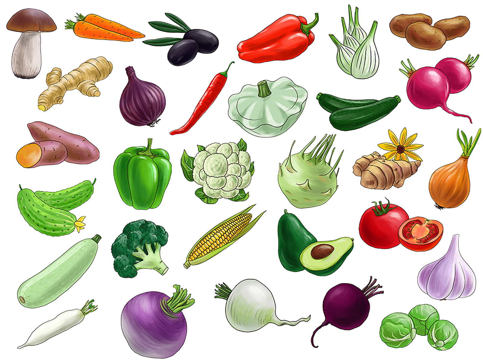 Фрукты, овощи и ягоды — Изображение №2 — Иллюстрация на Dprofile