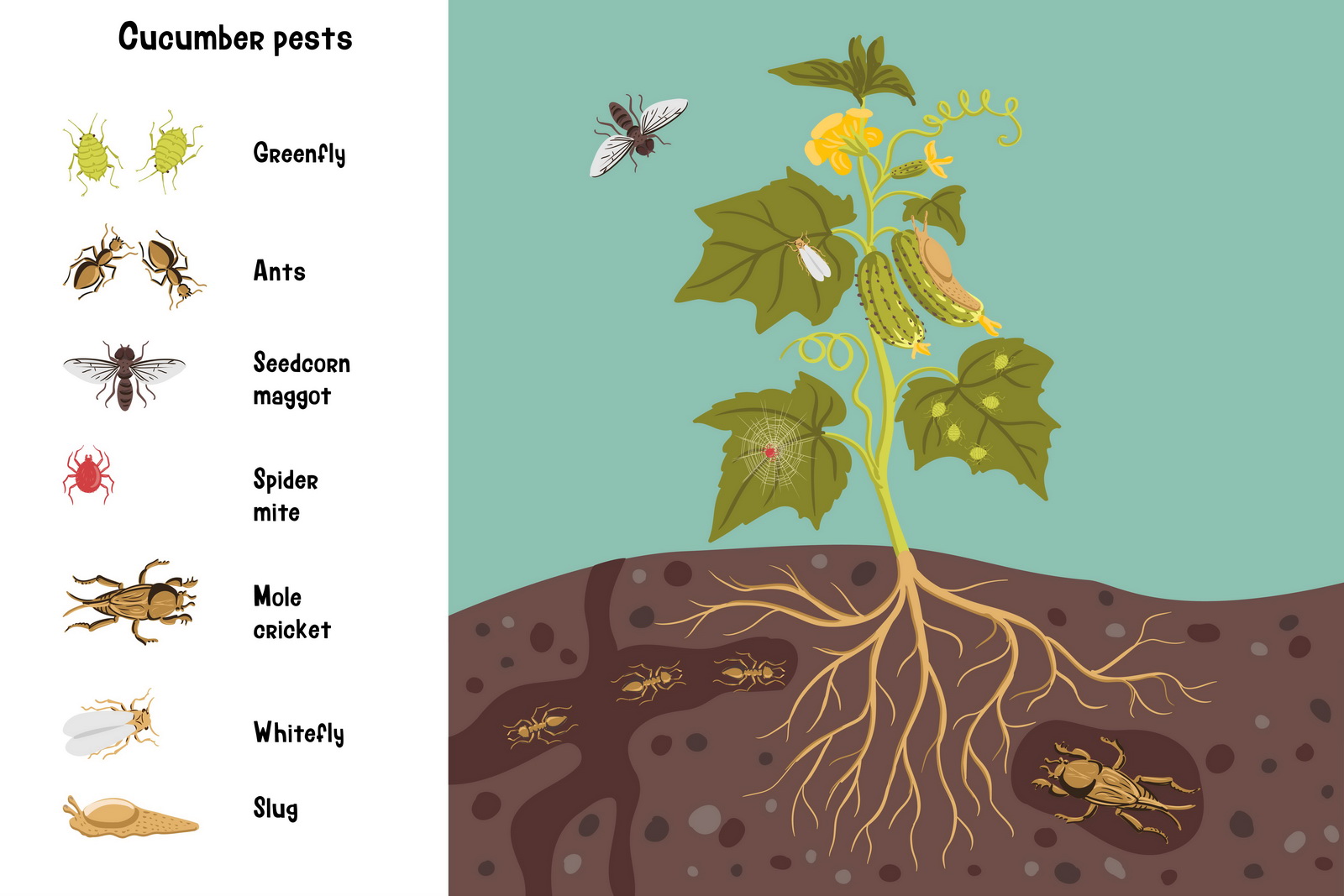 Садовые вредители — Изображение №6 — Иллюстрация на Dprofile