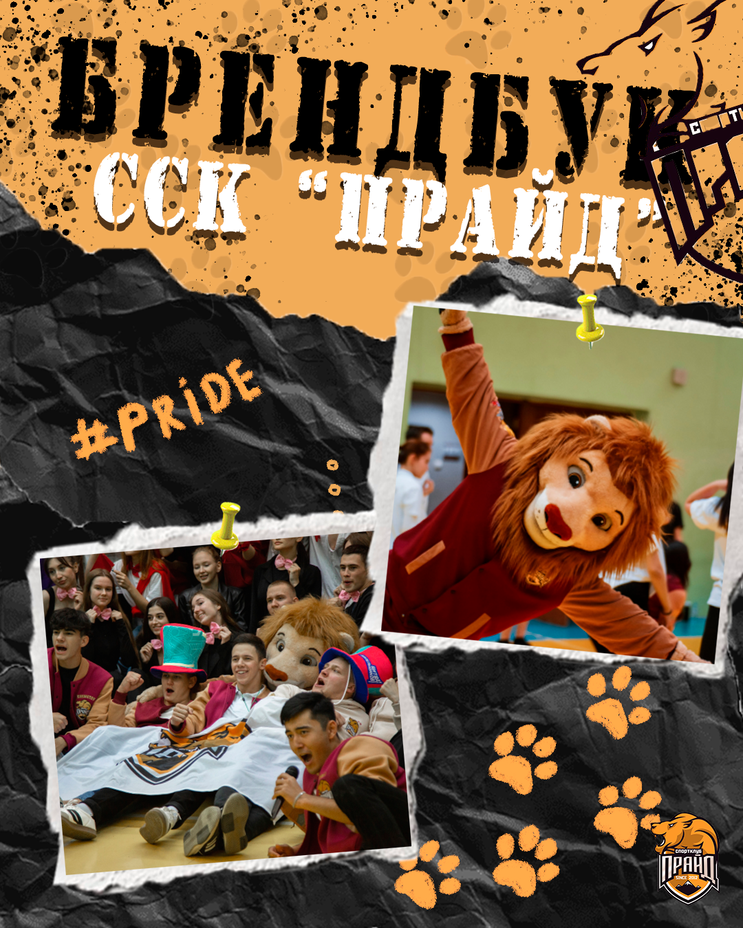 Брендбук для студенческого спортивного клуба УИУ РАНХиГС — Изображение №1 — Брендинг на Dprofile