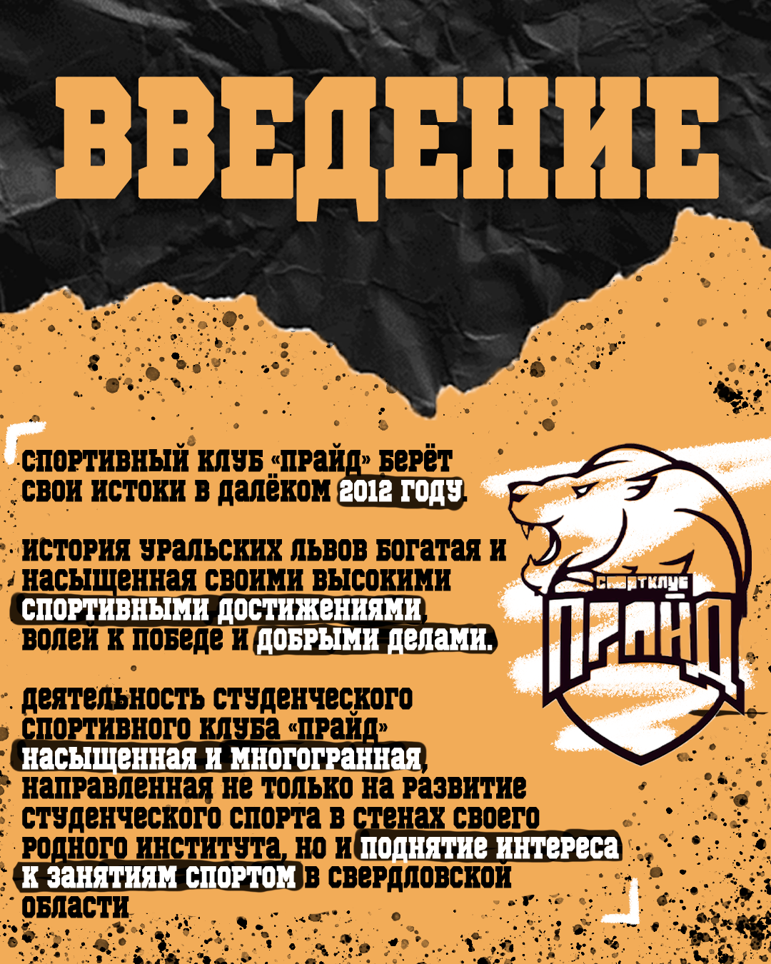 Брендбук для студенческого спортивного клуба УИУ РАНХиГС — Изображение №2 — Брендинг на Dprofile