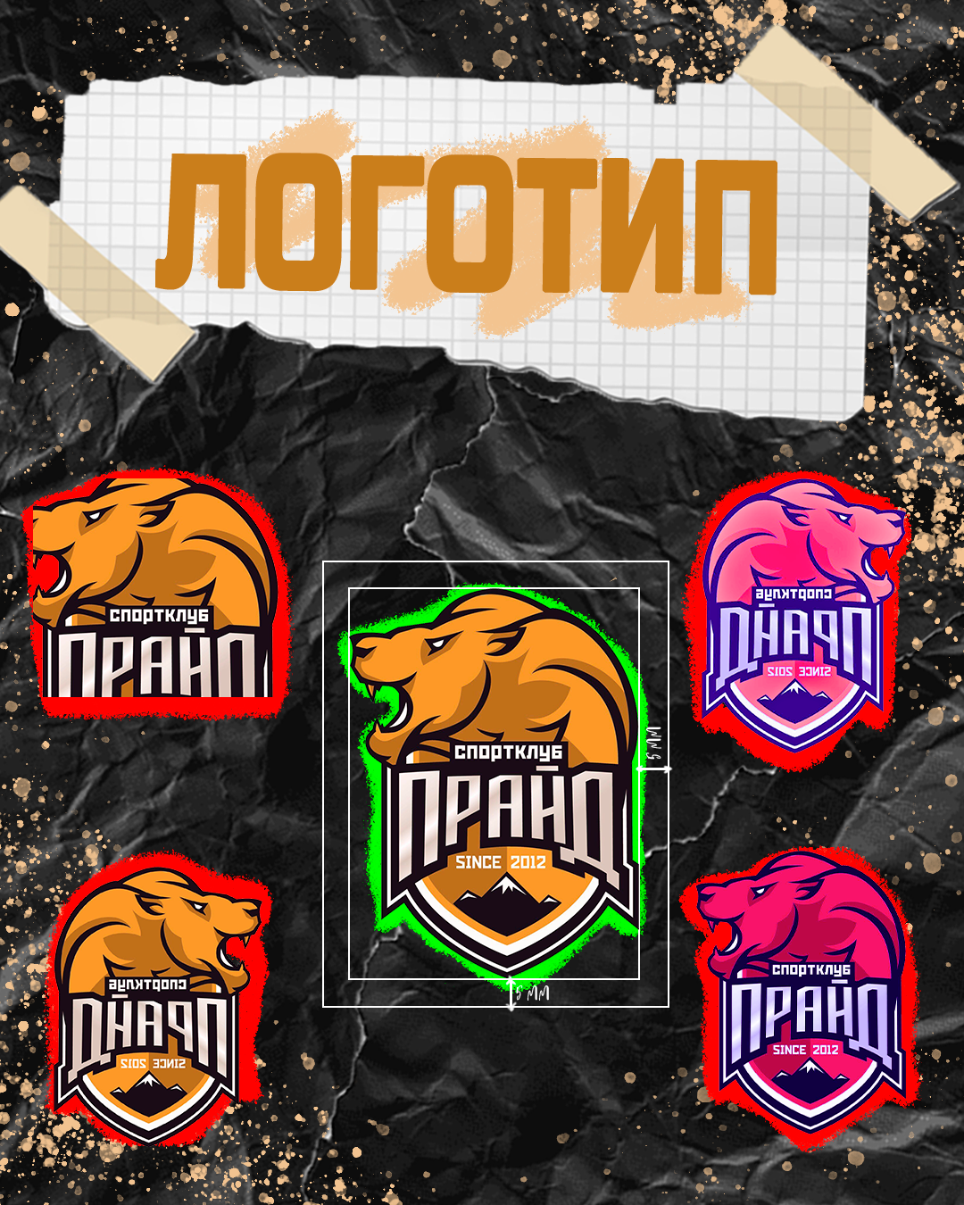 Брендбук для студенческого спортивного клуба УИУ РАНХиГС — Изображение №6 — Брендинг на Dprofile