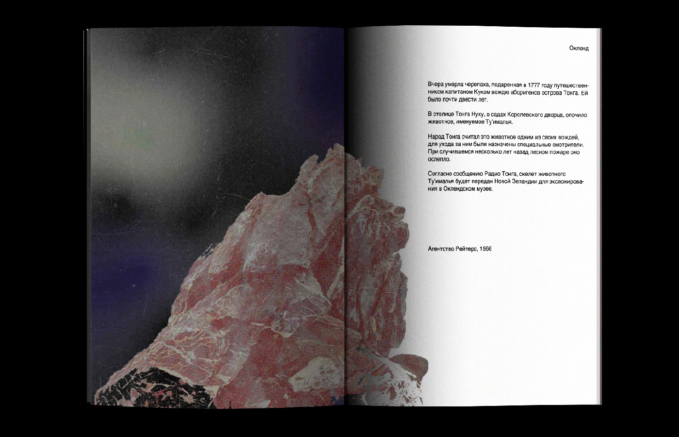 BOOK CONCEPT / STUDENT PROJECT — Изображение №7 — Графика на Dprofile