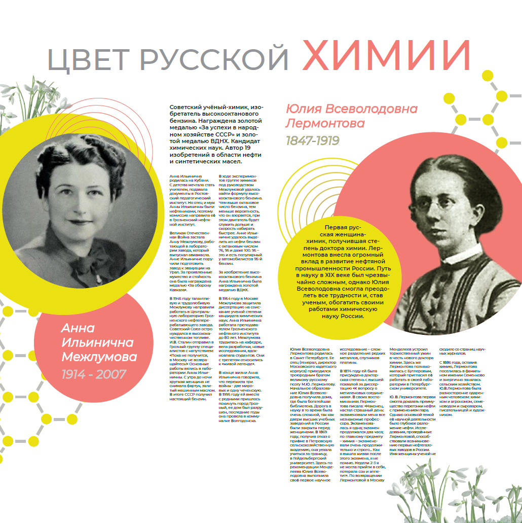 Стенгазета про женщин-ученых для 239 лицея — Изображение №3 — Графика на Dprofile