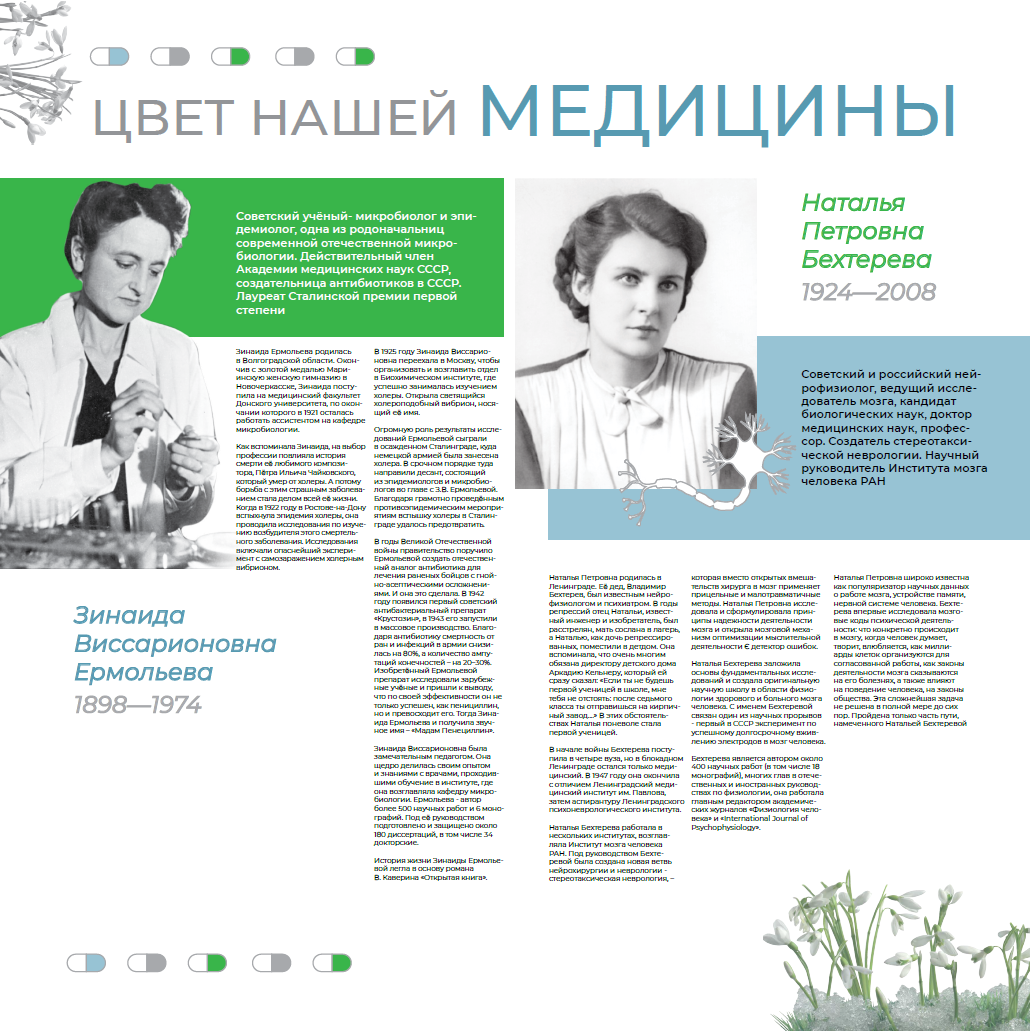 Стенгазета про женщин-ученых для 239 лицея — Изображение №4 — Графика на Dprofile