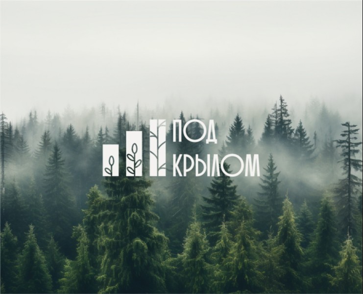 Благотворительный фонд «Под крылом» — Брендинг на Dprofile
