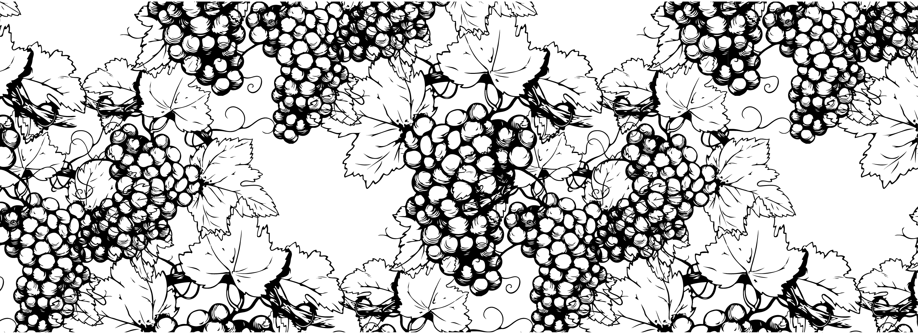 Логотип | Дизайн этикетки | Вино | Logo | Label design — Изображение №5 — Брендинг, Графика на Dprofile