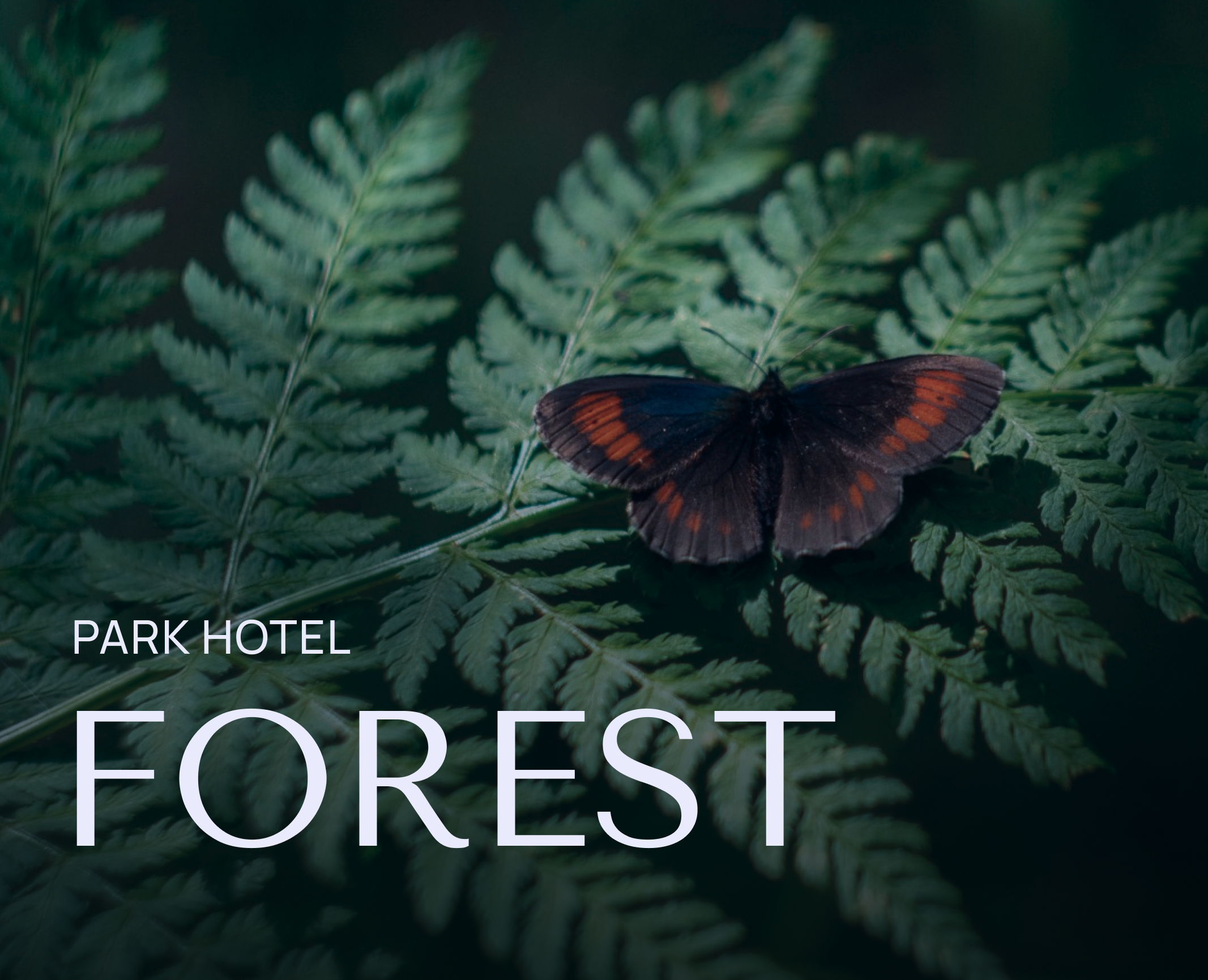 FOREST  | Park Hotel на Dprofile