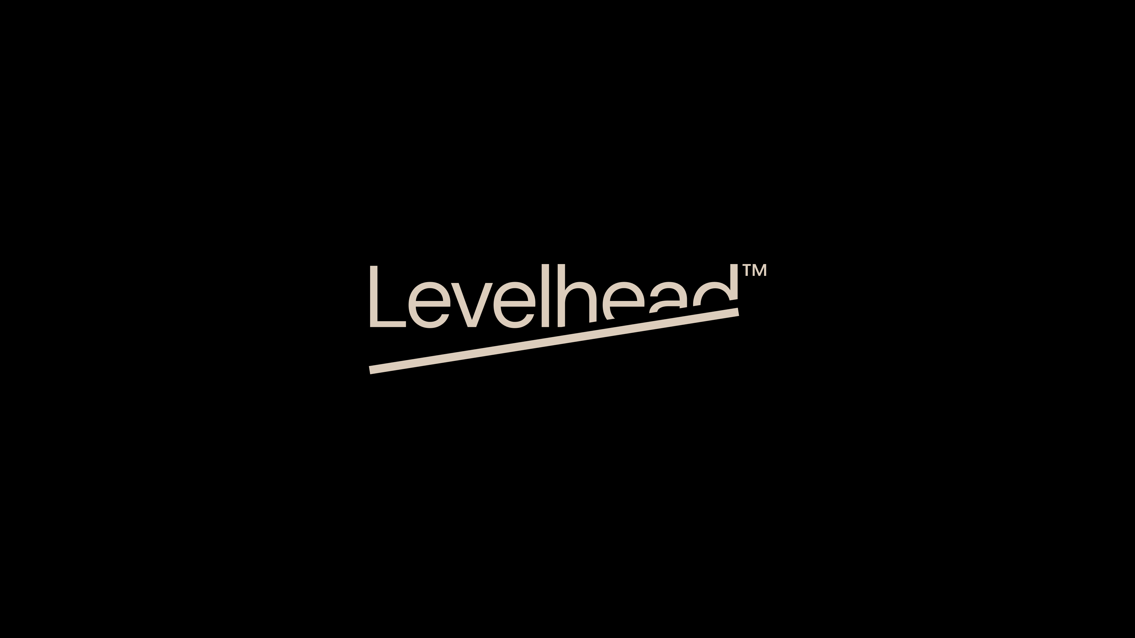 Levelhead™ Balance Boards → Brand Identity — Изображение №1 — Брендинг, 3D на Dprofile