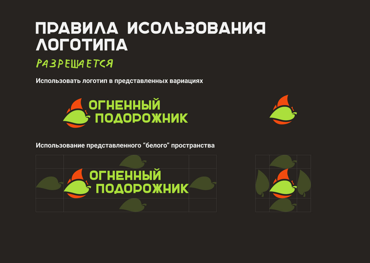 Огненный подорожник — Изображение №10 — Брендинг на Dprofile