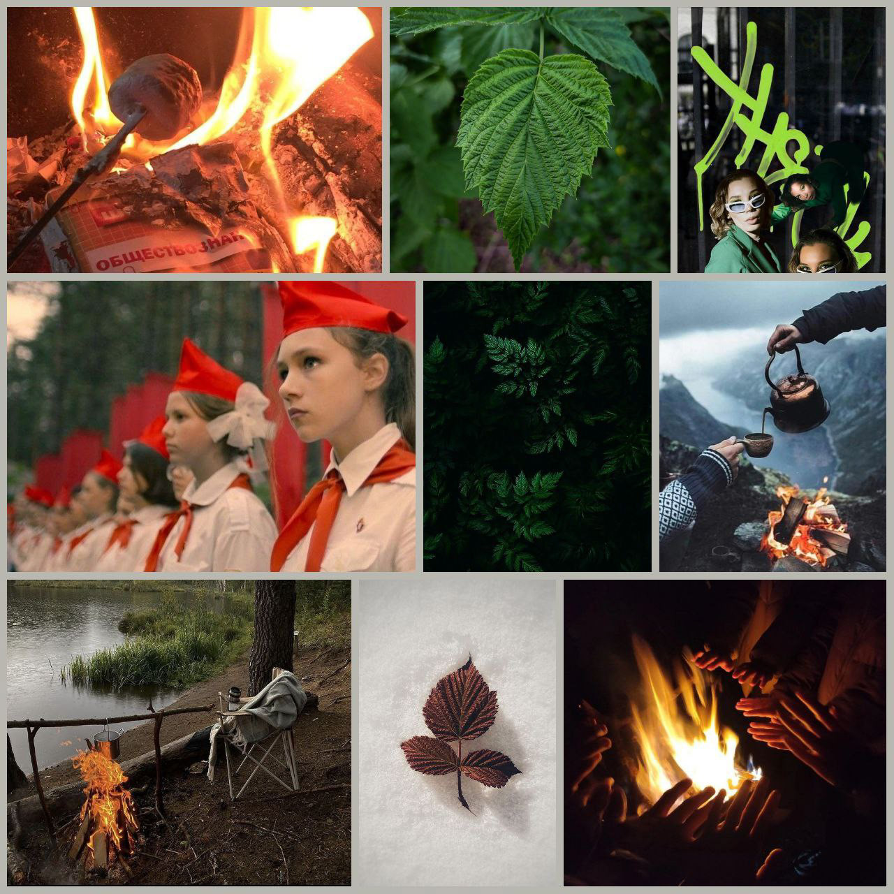 Огненный подорожник — Изображение №5 — Брендинг на Dprofile