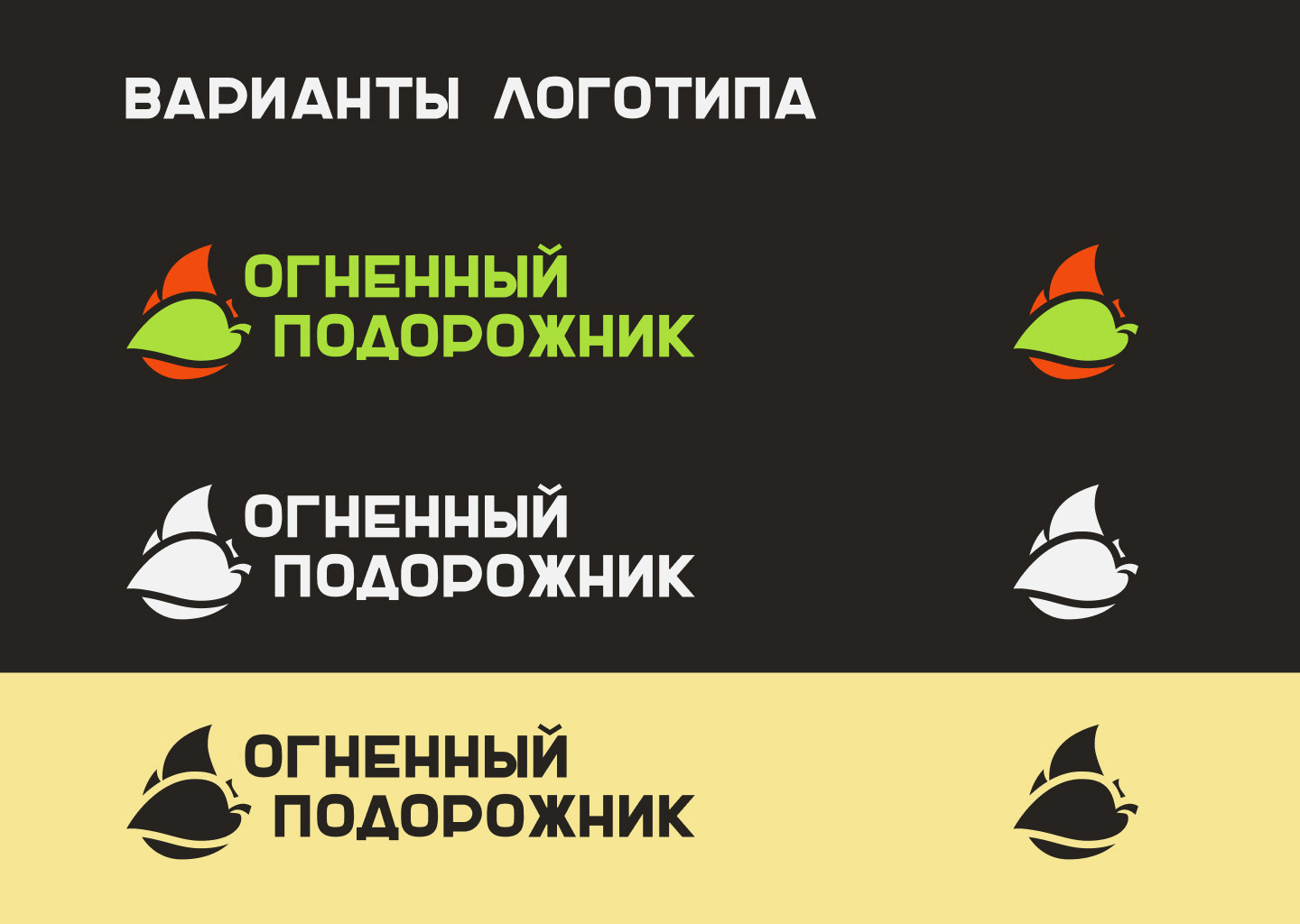 Огненный подорожник — Изображение №9 — Брендинг на Dprofile