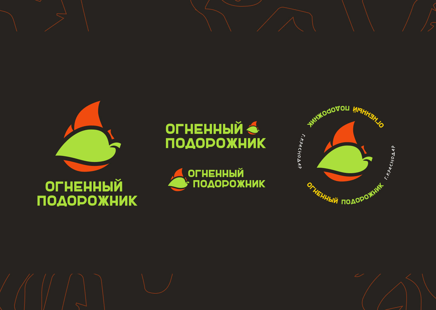 Огненный подорожник — Изображение №2 — Брендинг на Dprofile