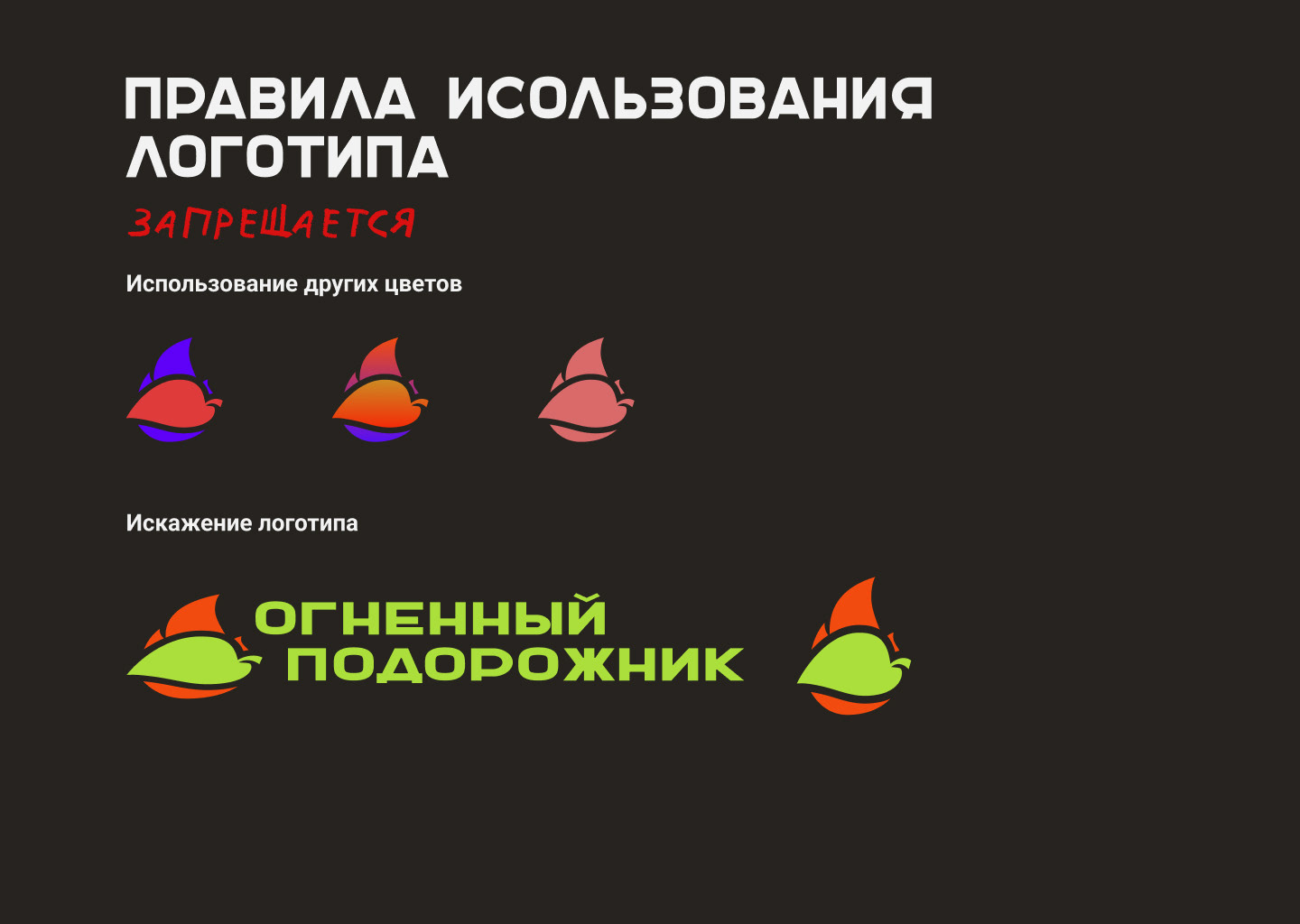 Огненный подорожник — Изображение №11 — Брендинг на Dprofile