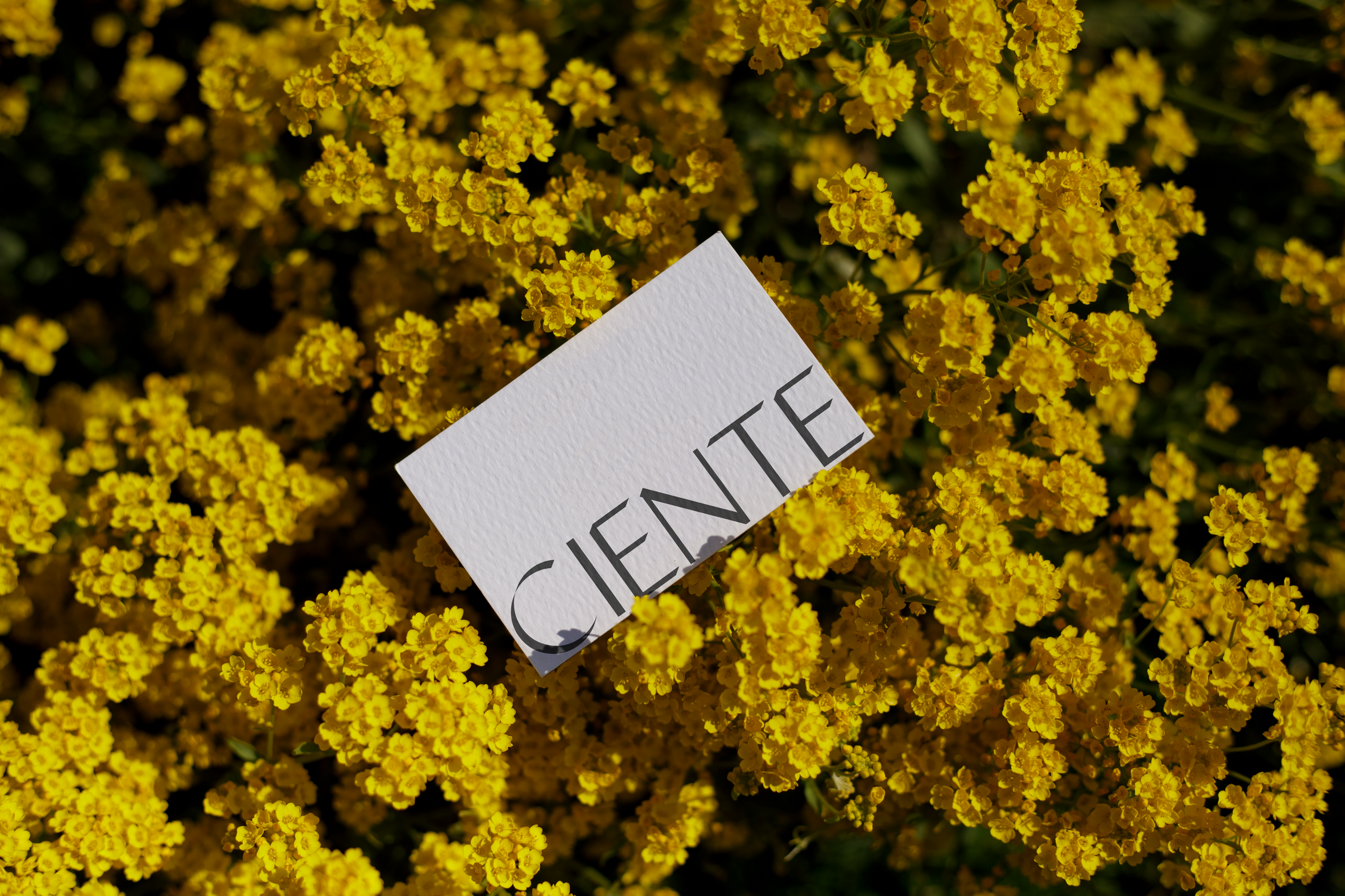 Brand identity | portugal clothing store CIENTE — Изображение №10 — Интерфейсы, Брендинг на Dprofile
