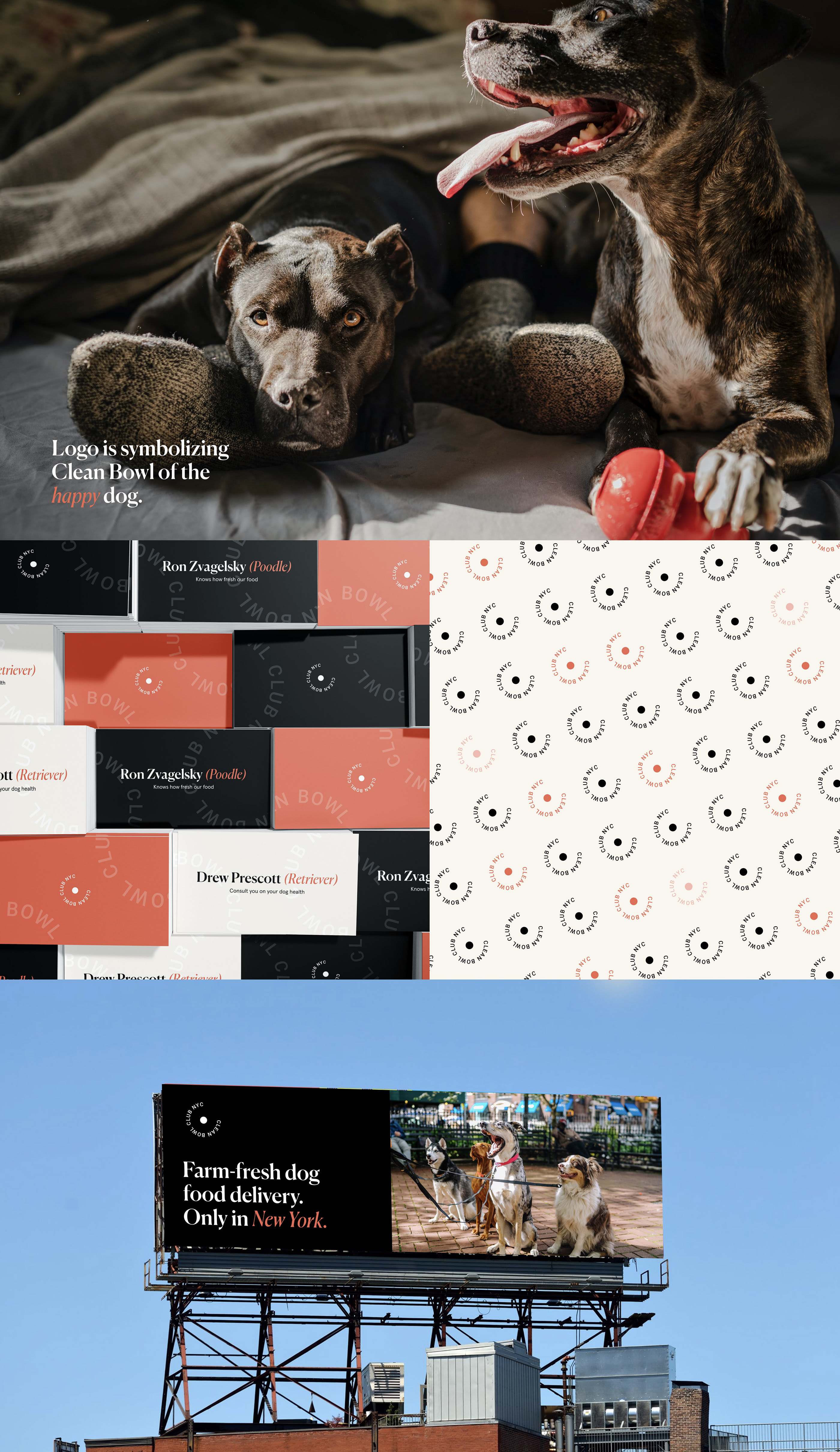 Clean Bowl Club - Branding & Website — Изображение №2 — Интерфейсы, Брендинг на Dprofile