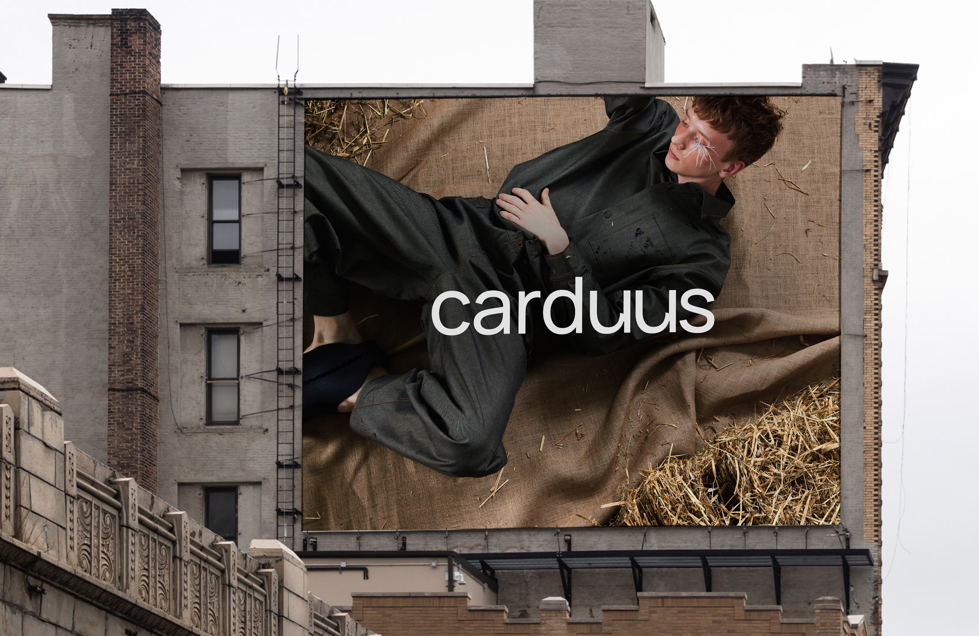 Carduus Identity — Изображение №1 — Брендинг на Dprofile
