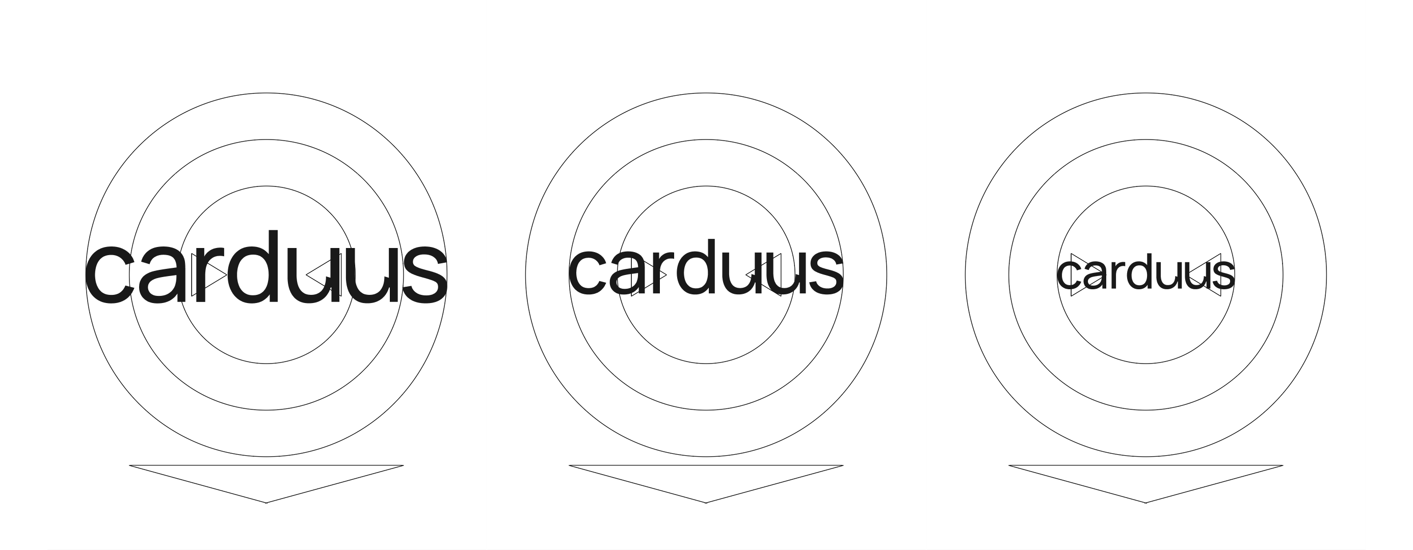 Carduus Identity — Изображение №4 — Брендинг на Dprofile