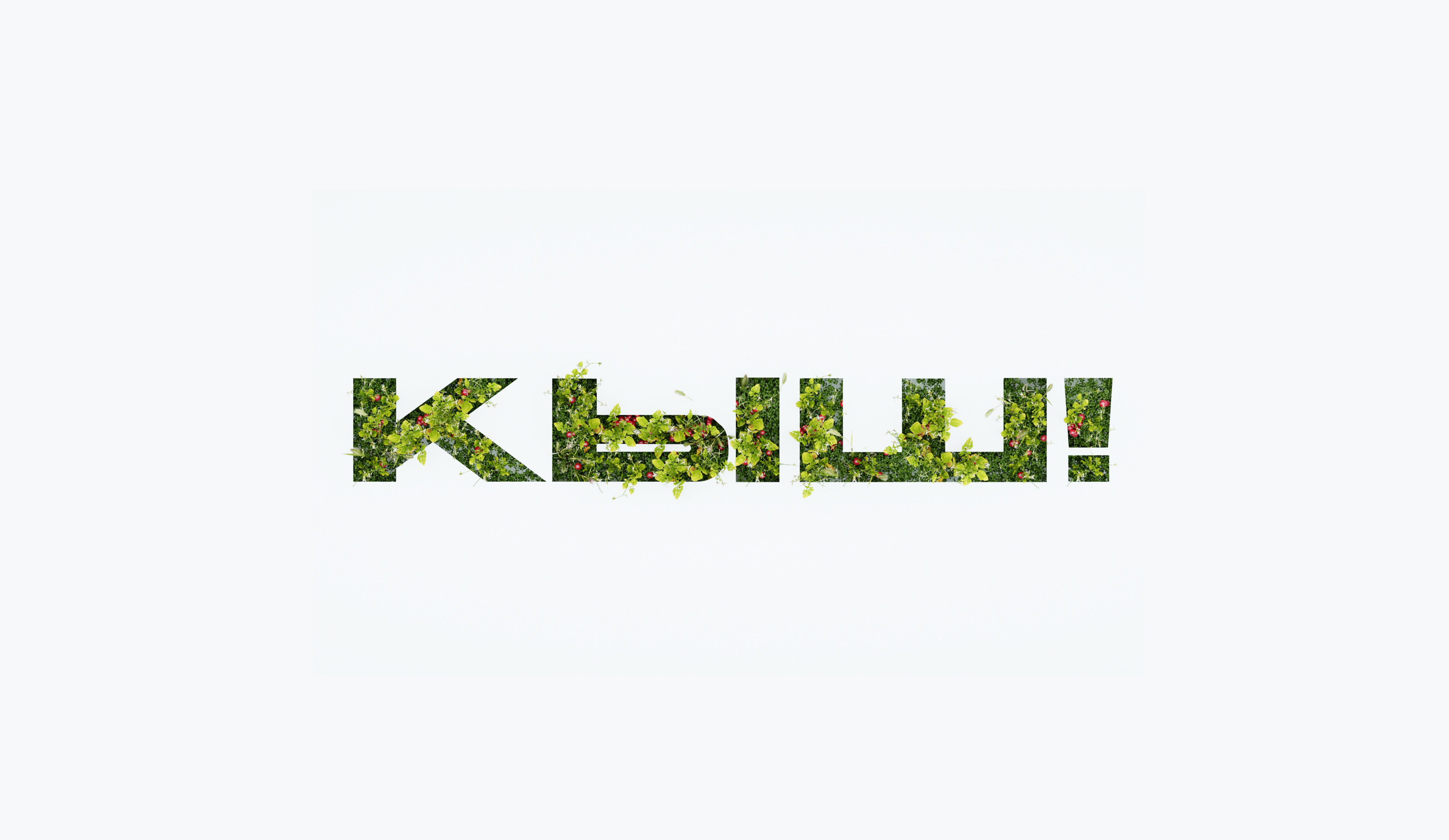 КЫШ!  разработка упаковки для баночки — Изображение №1 — Брендинг, 3D на Dprofile