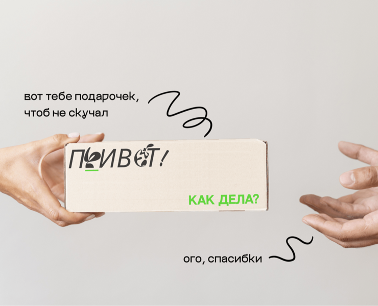 набор с суккулентом "ПРИВЕТ!" — Брендинг, Графика на Dprofile