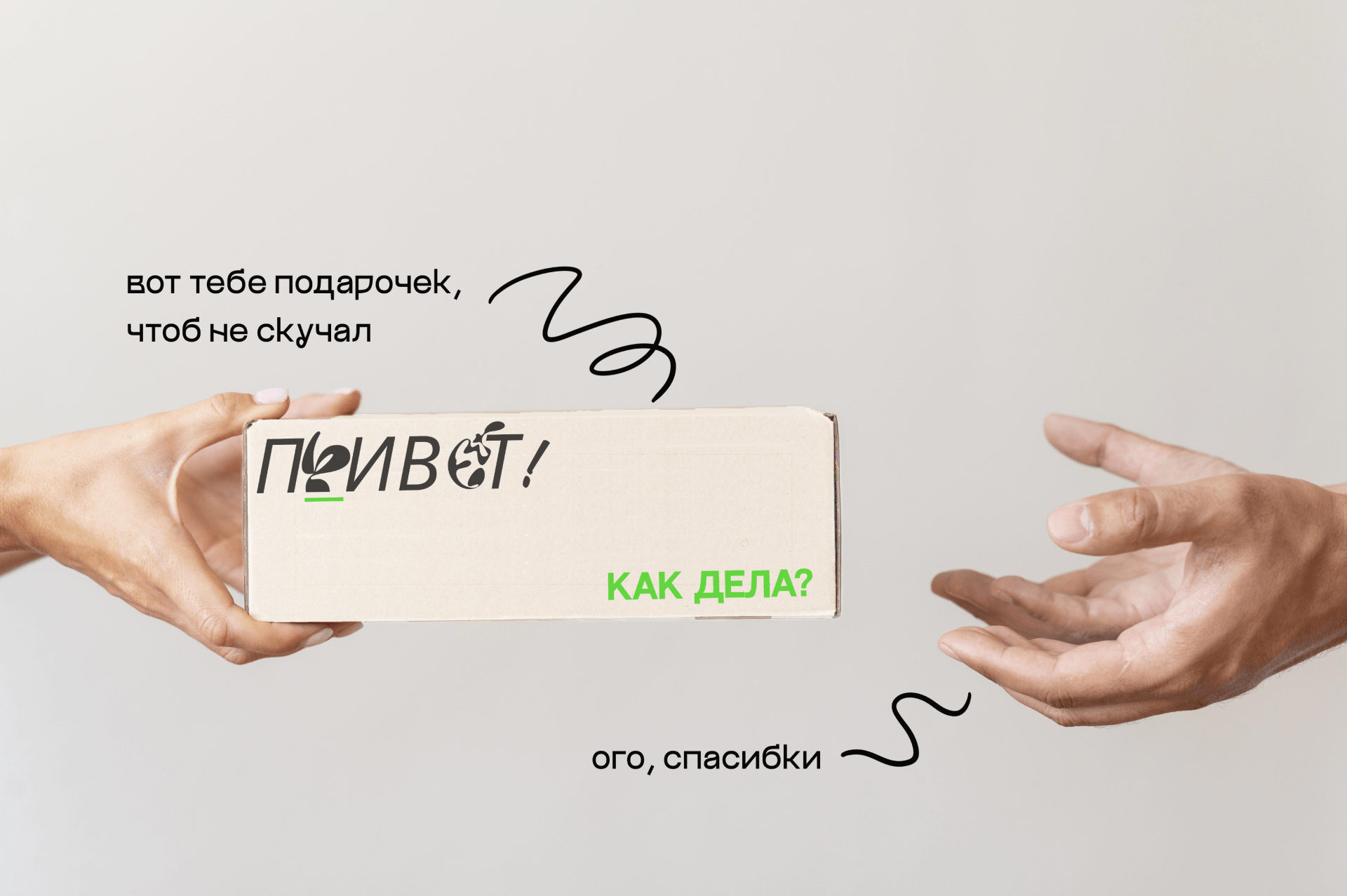 набор с суккулентом "ПРИВЕТ!" — Изображение №4 — Брендинг, Графика на Dprofile