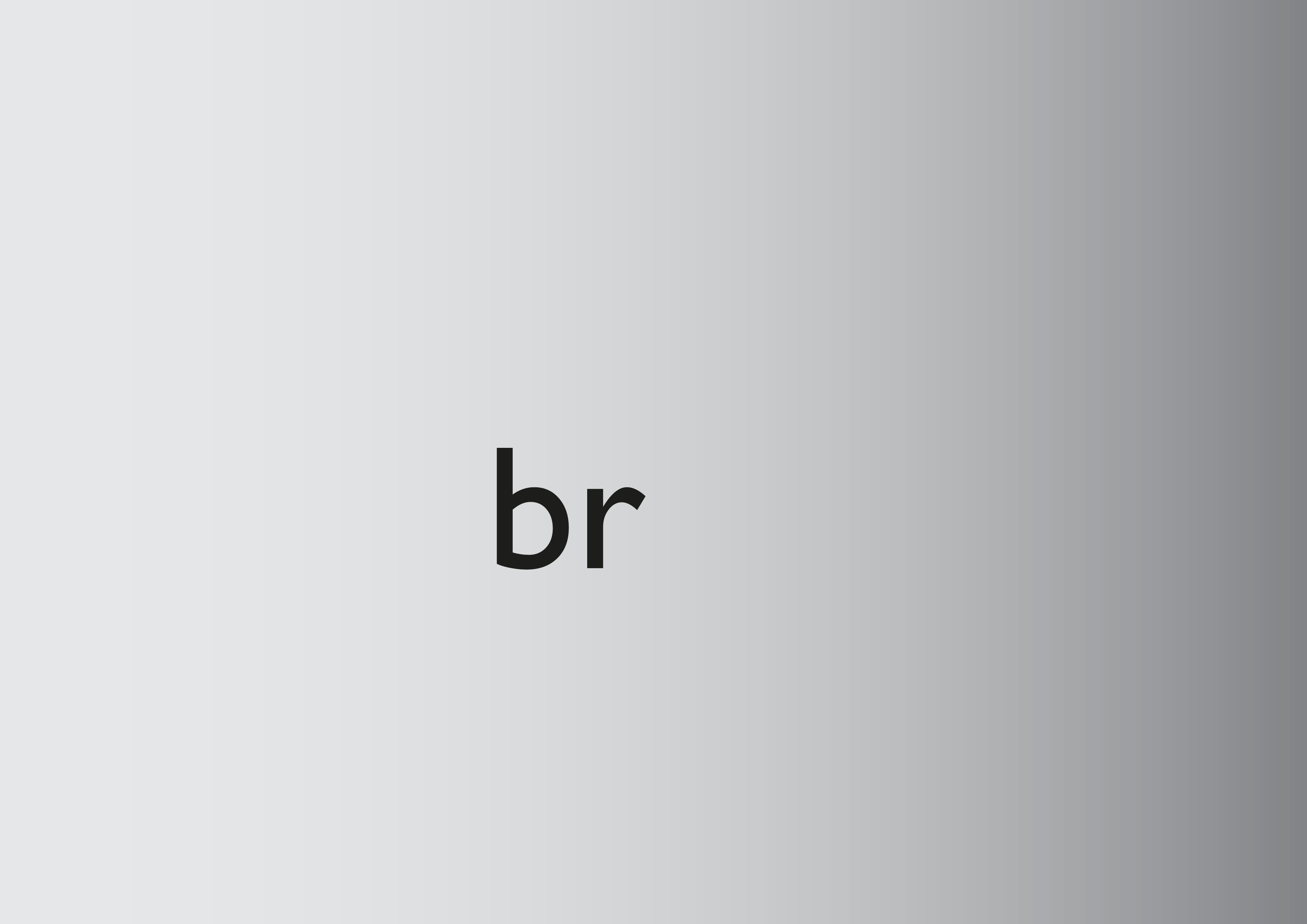 BRICKS | Product identity — Изображение №3 — Брендинг на Dprofile