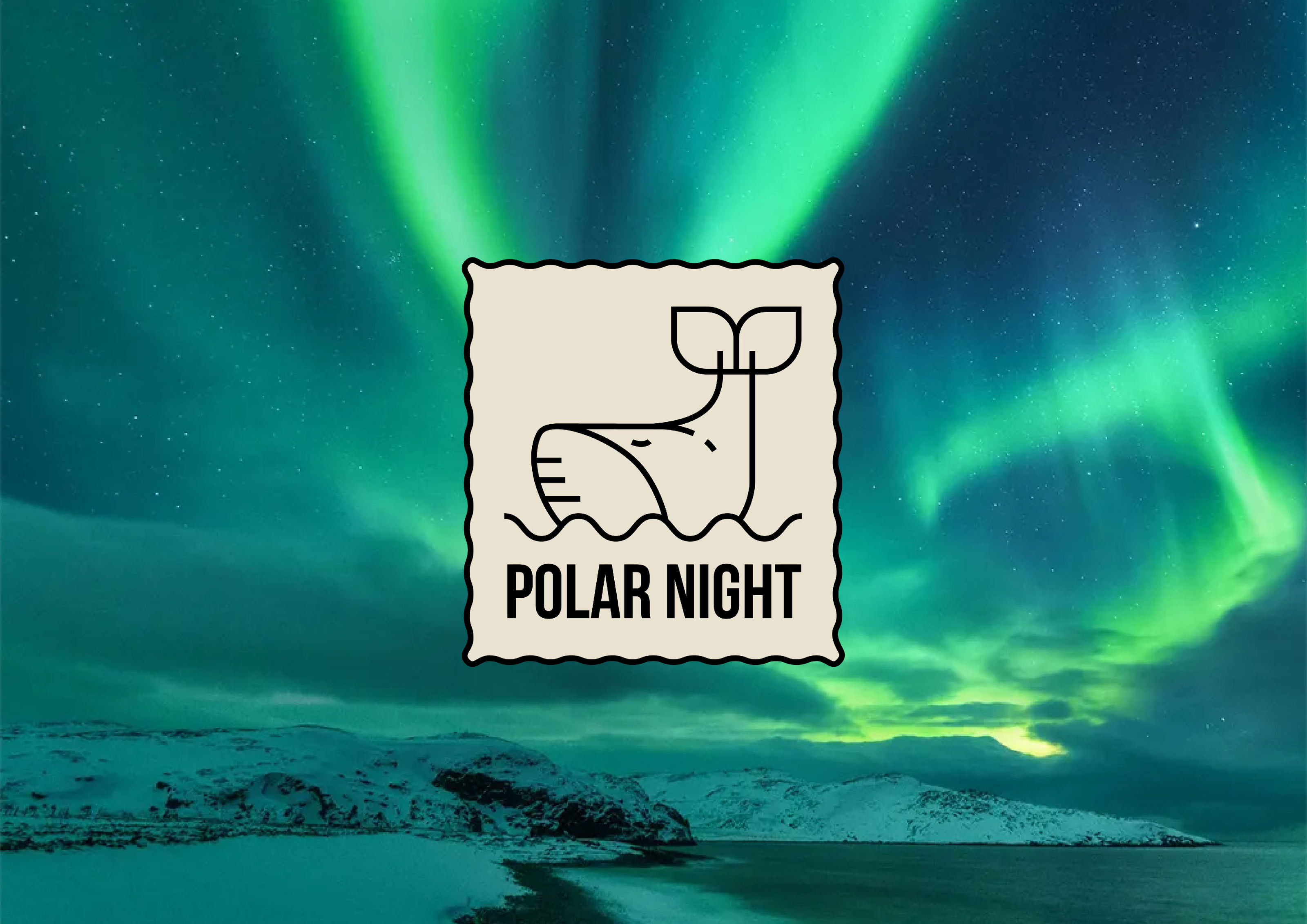 Polar night / logo — Изображение №1 — Брендинг на Dprofile