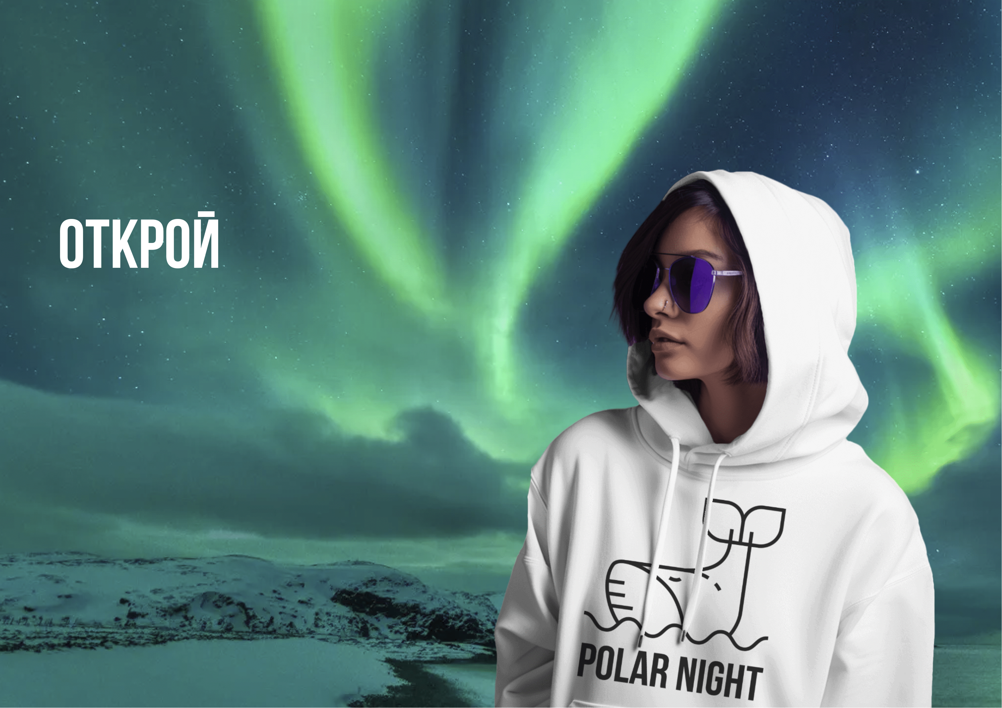 Polar night / logo — Изображение №5 — Брендинг на Dprofile