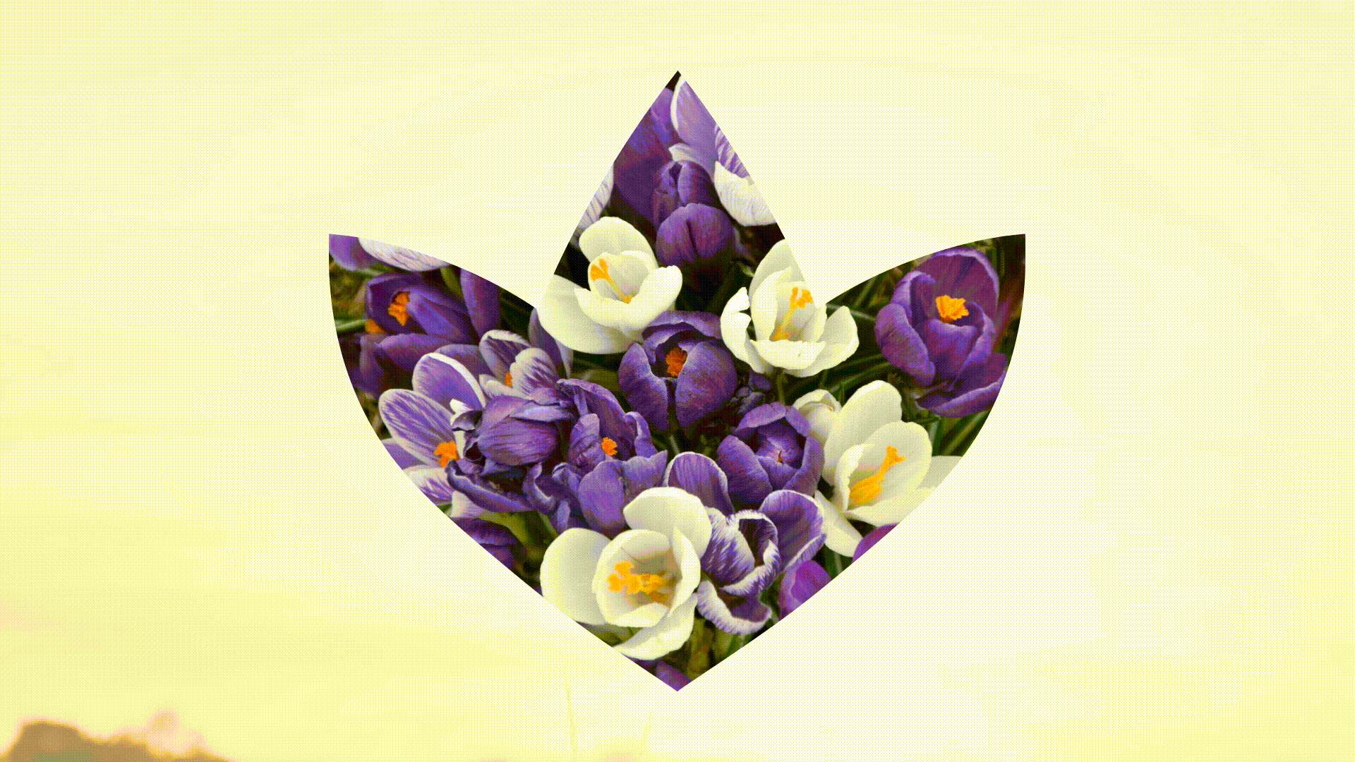 Фирменный стиль | Садовый центр | Логотип | Цветы — Изображение №10 — Брендинг на Dprofile