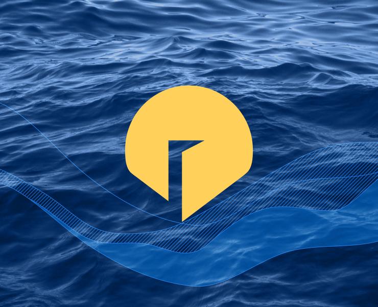 Shelldor — Брендинг на Dprofile