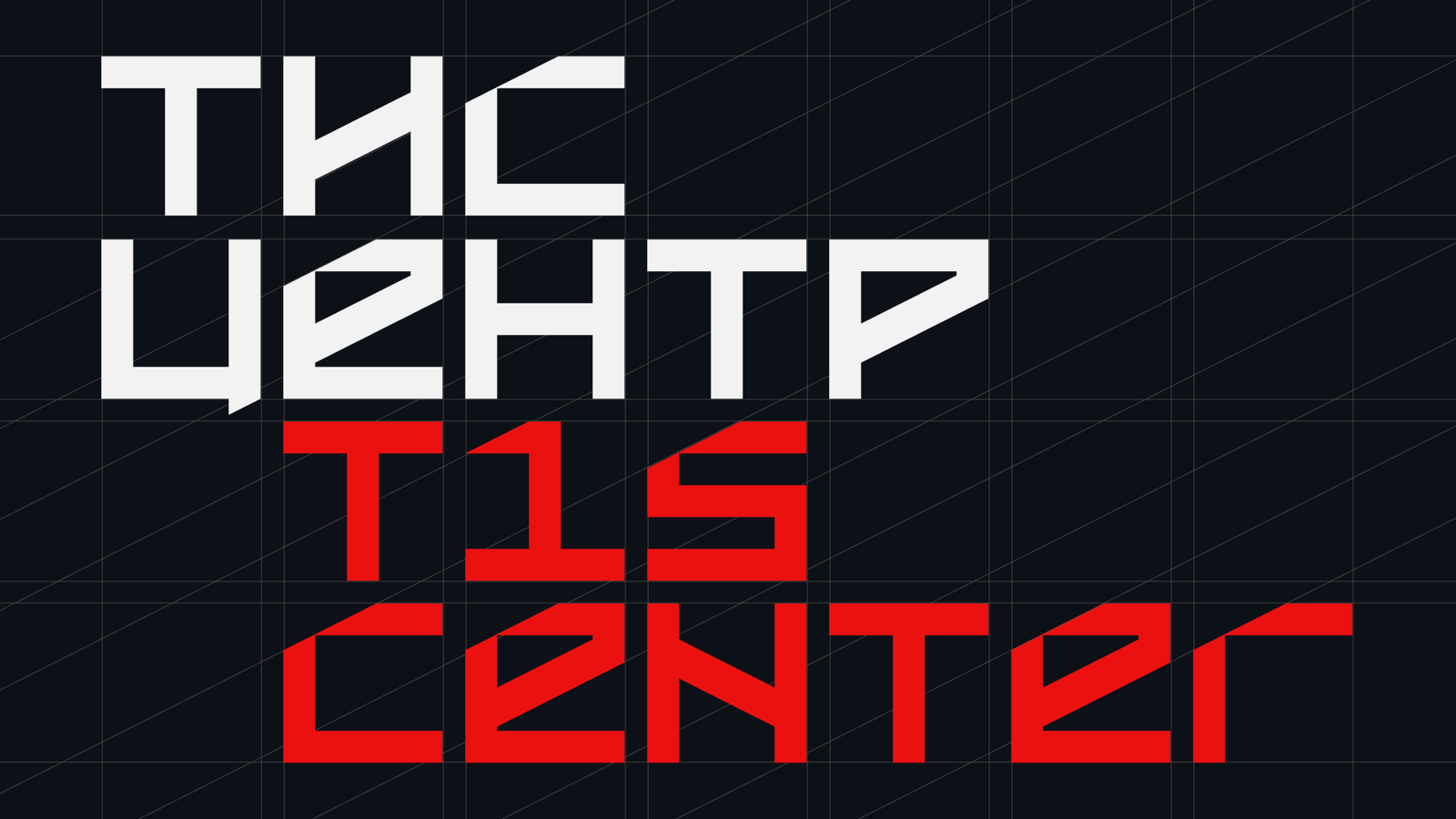 TIS Center — Изображение №1 — Брендинг на Dprofile