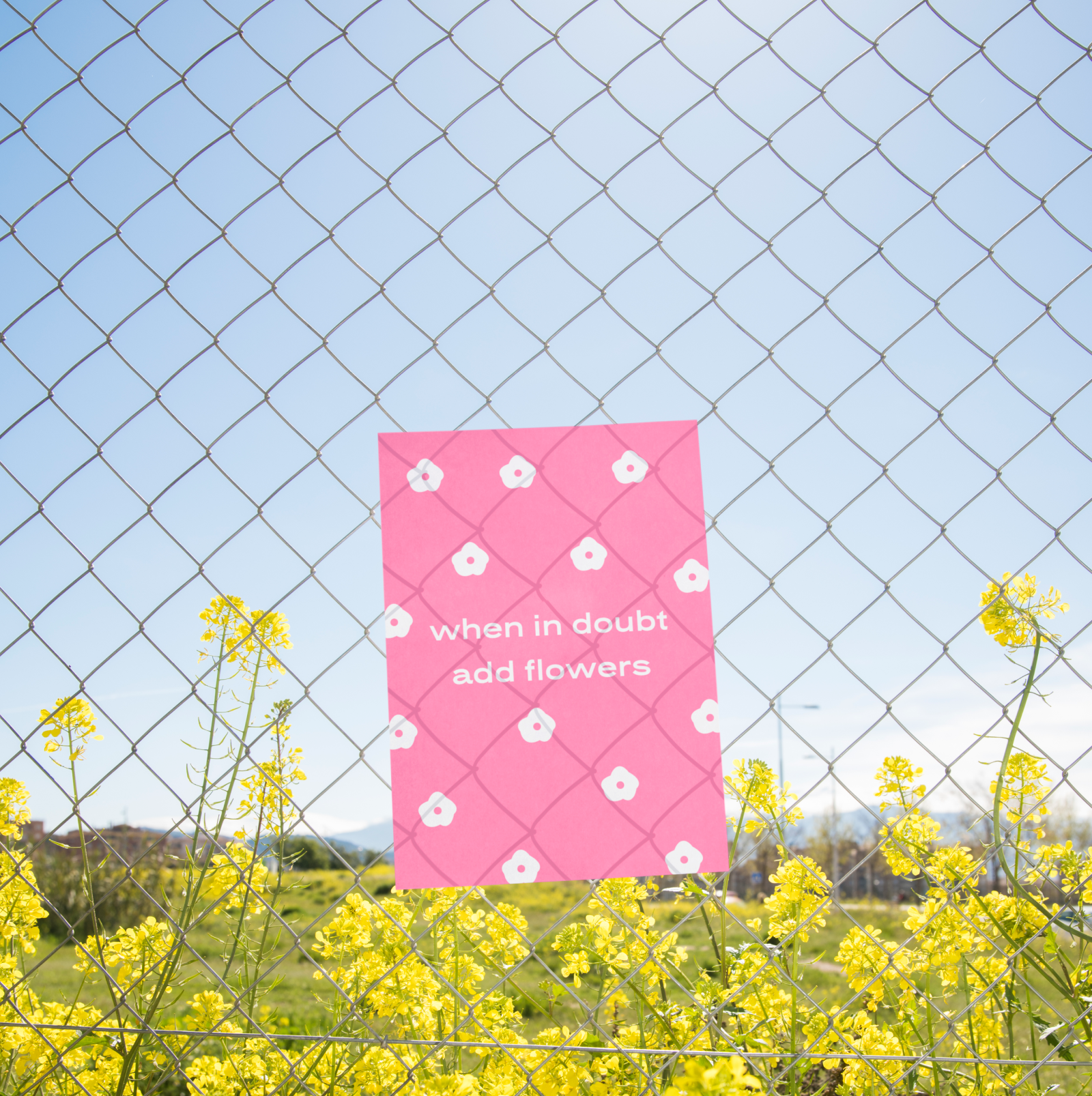 Цветочный магазин "13 rose" — Изображение №2 — Брендинг, Графика на Dprofile