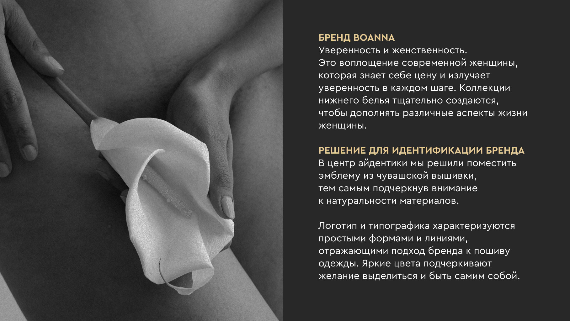 Логотип BoAnna / Магазин нижнего белья — Изображение №2 — Брендинг на Dprofile