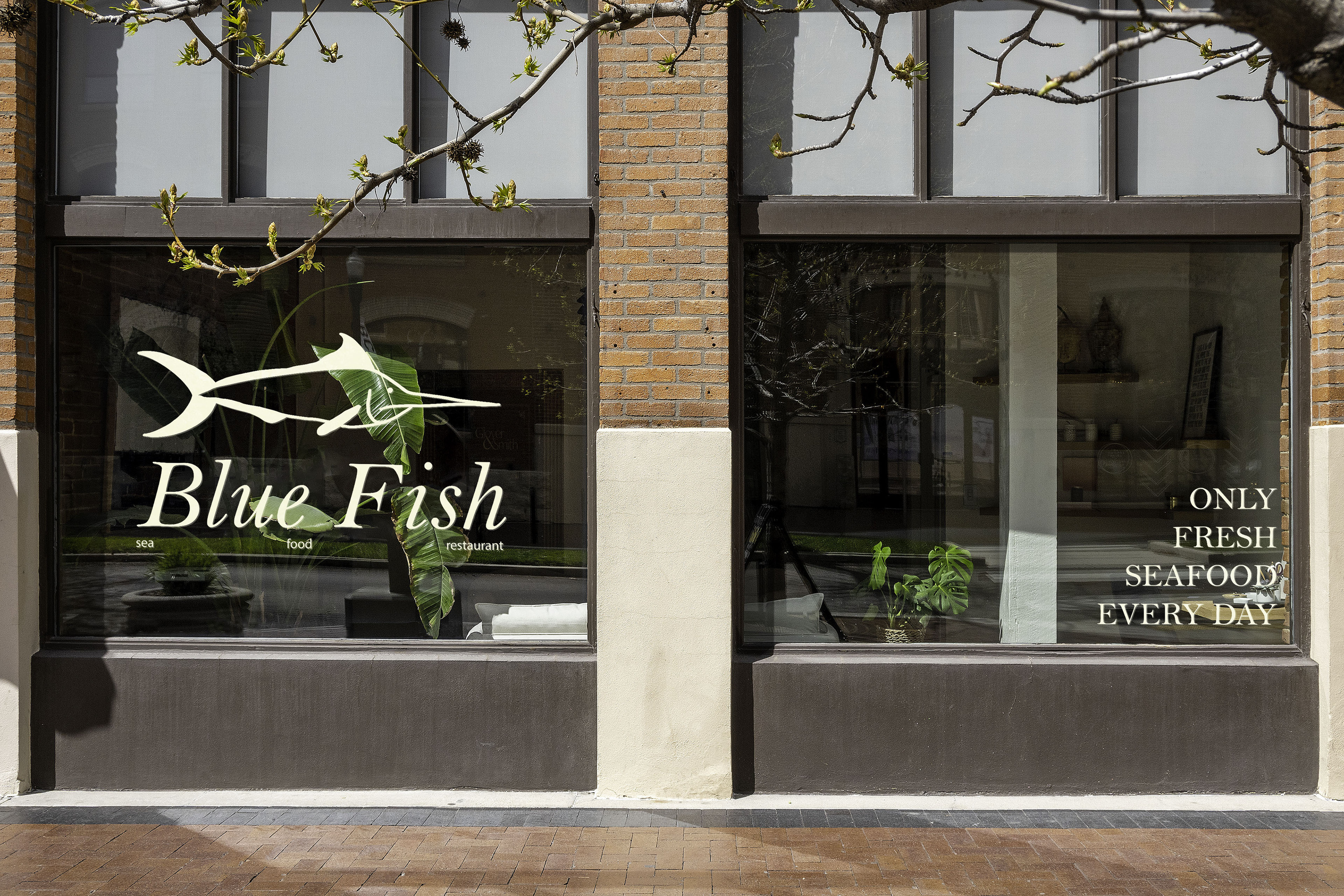 Blue Fish | ресторан — Изображение №1 — Брендинг, Графика на Dprofile