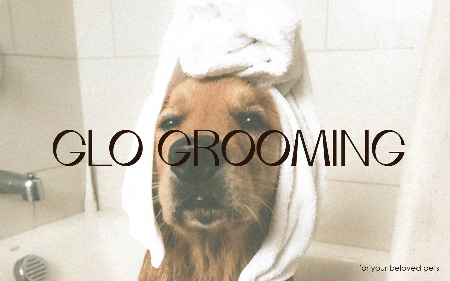 GLO GROOMING — Изображение №1 — Брендинг, Графика на Dprofile