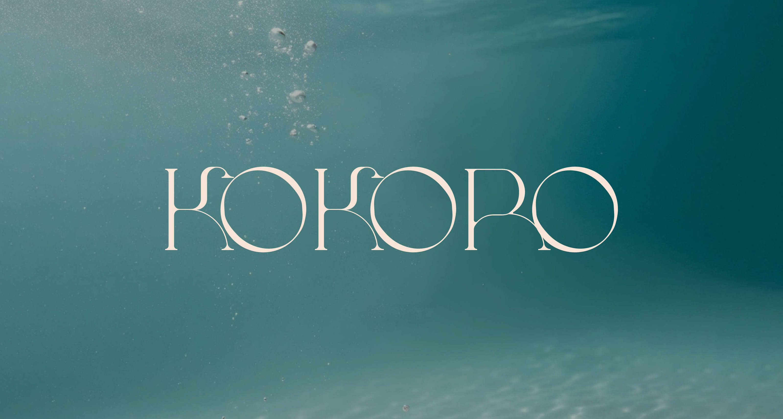 KOKORO | ДИЗАЙН УПАКОВКИ | ЭТИКЕТКА | PACKAGING DESIGN — Изображение №7 — Брендинг на Dprofile