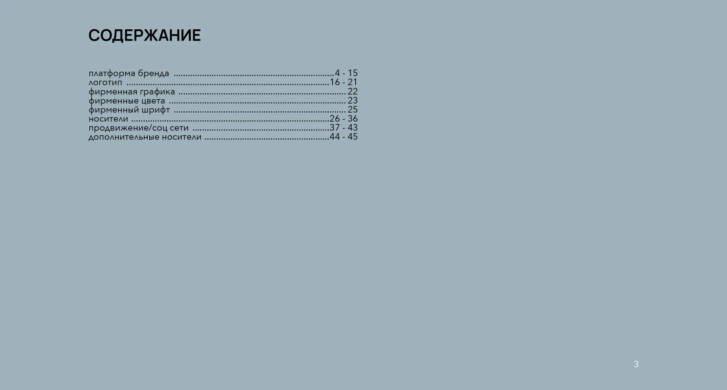 БРЕНДБУК/ ЛОГОТИП/ ЖЕНСКОЕ БЕЛЬЕ/ BRAND BOOK — Изображение №3 — Брендинг на Dprofile
