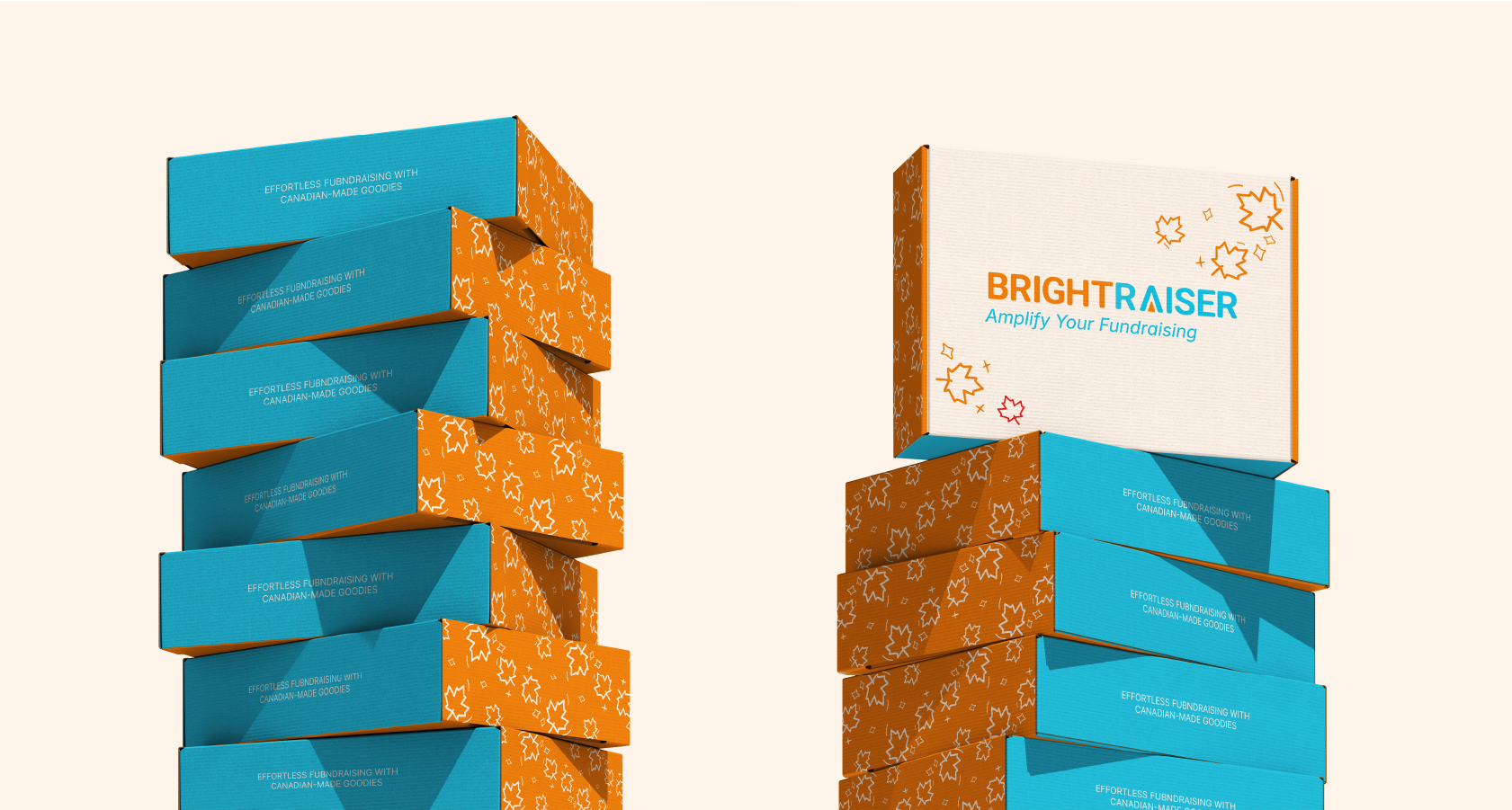 BRIGHT RAISER | упаковка it - консалтингa — Изображение №3 — Брендинг, Графика на Dprofile