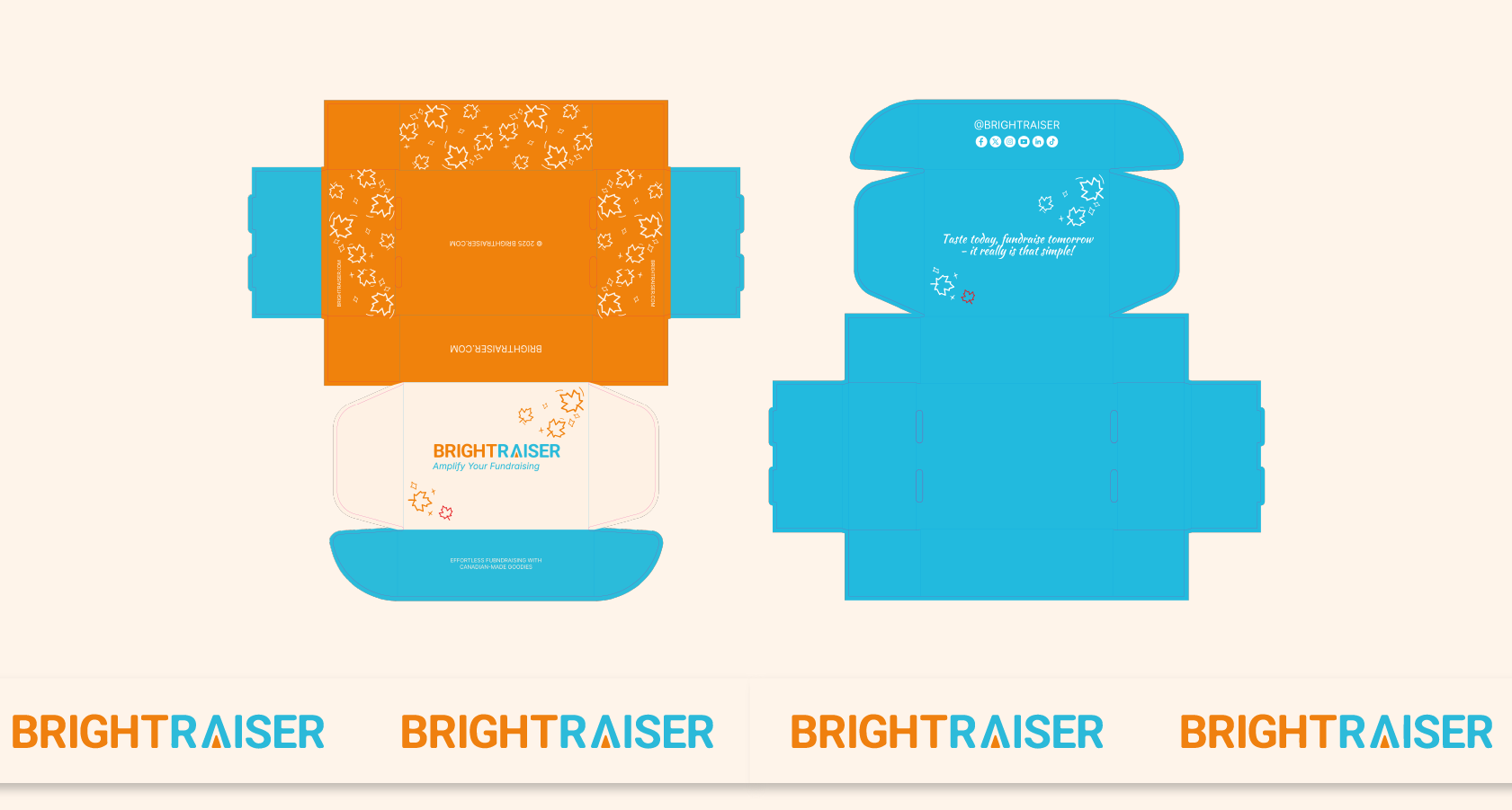 BRIGHT RAISER | упаковка it - консалтингa — Изображение №2 — Брендинг, Графика на Dprofile