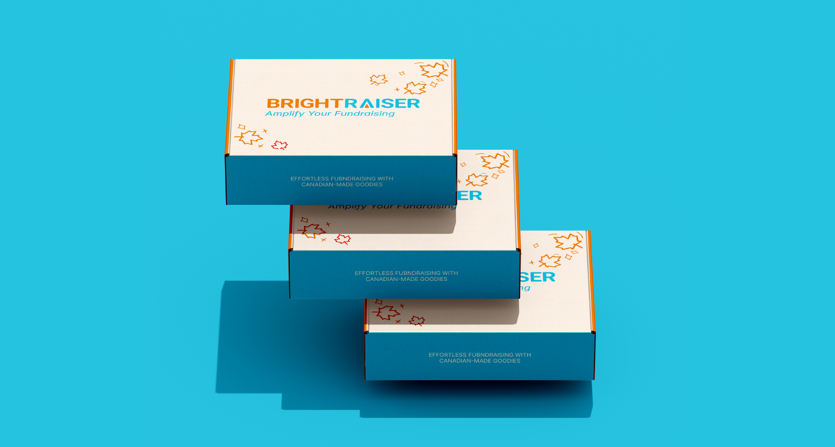 BRIGHT RAISER | упаковка it - консалтингa — Изображение №1 — Брендинг, Графика на Dprofile