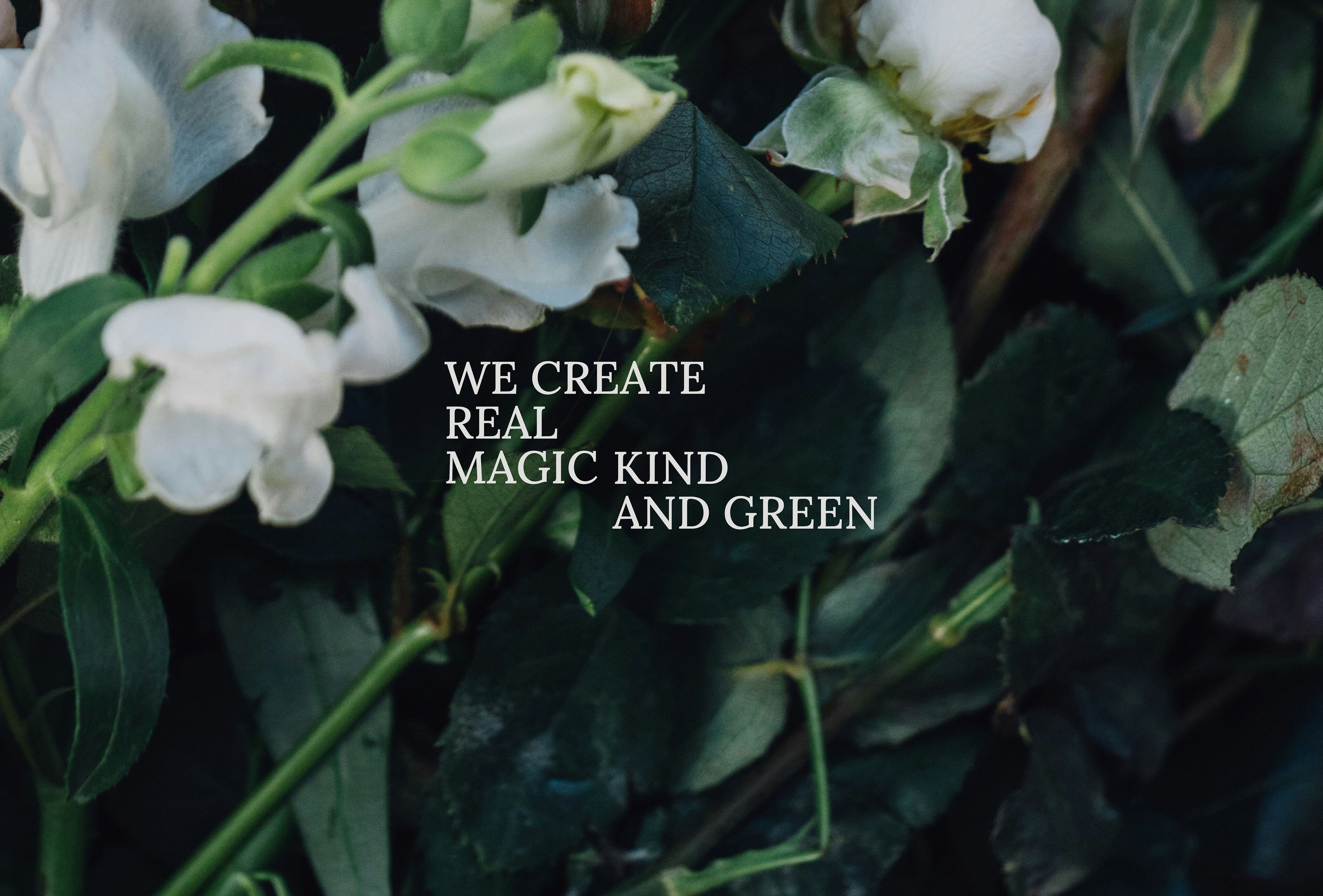 Green Magic flower shop Brand Identity — Изображение №5 — Брендинг на Dprofile